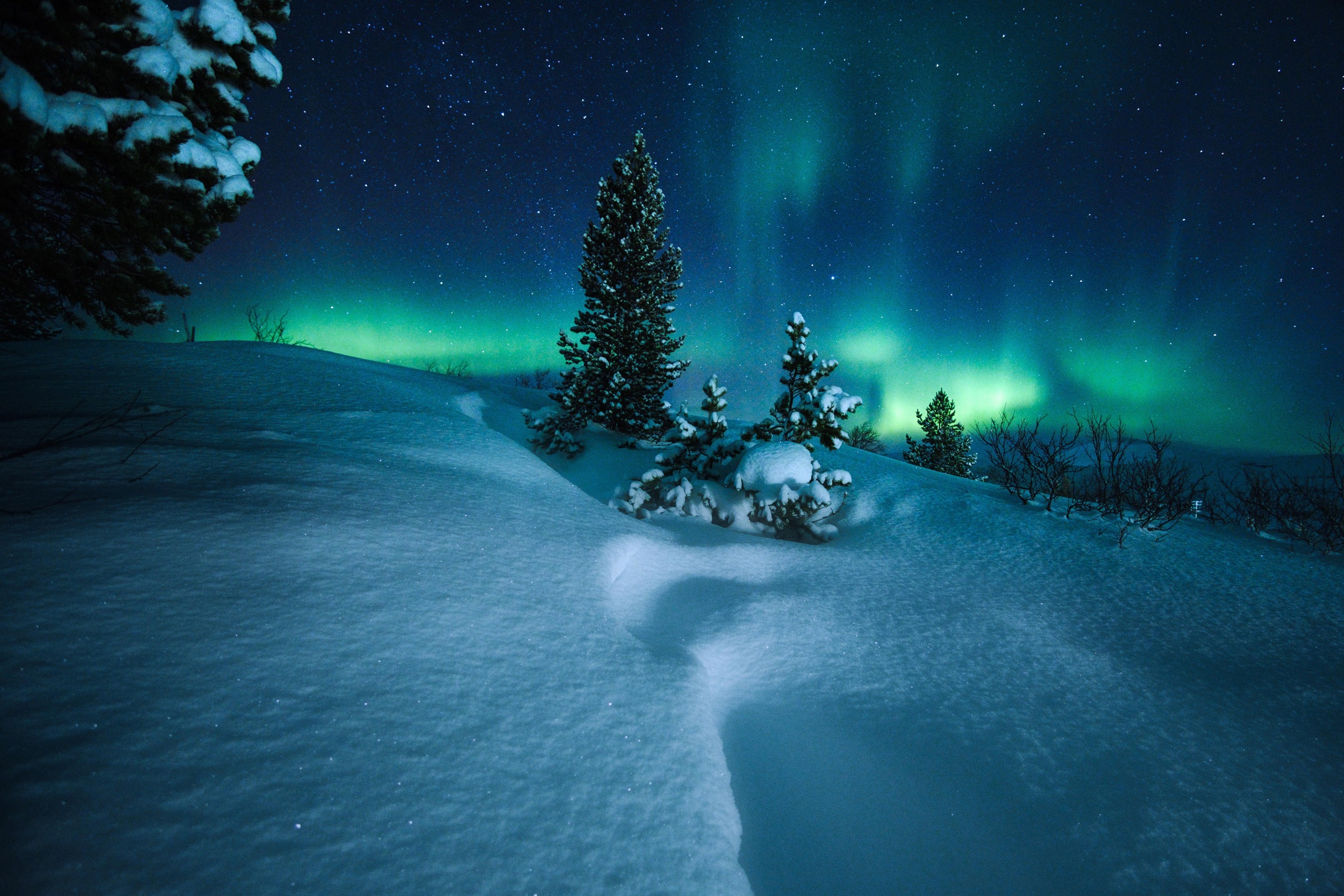 Snow At Night Wallpapers