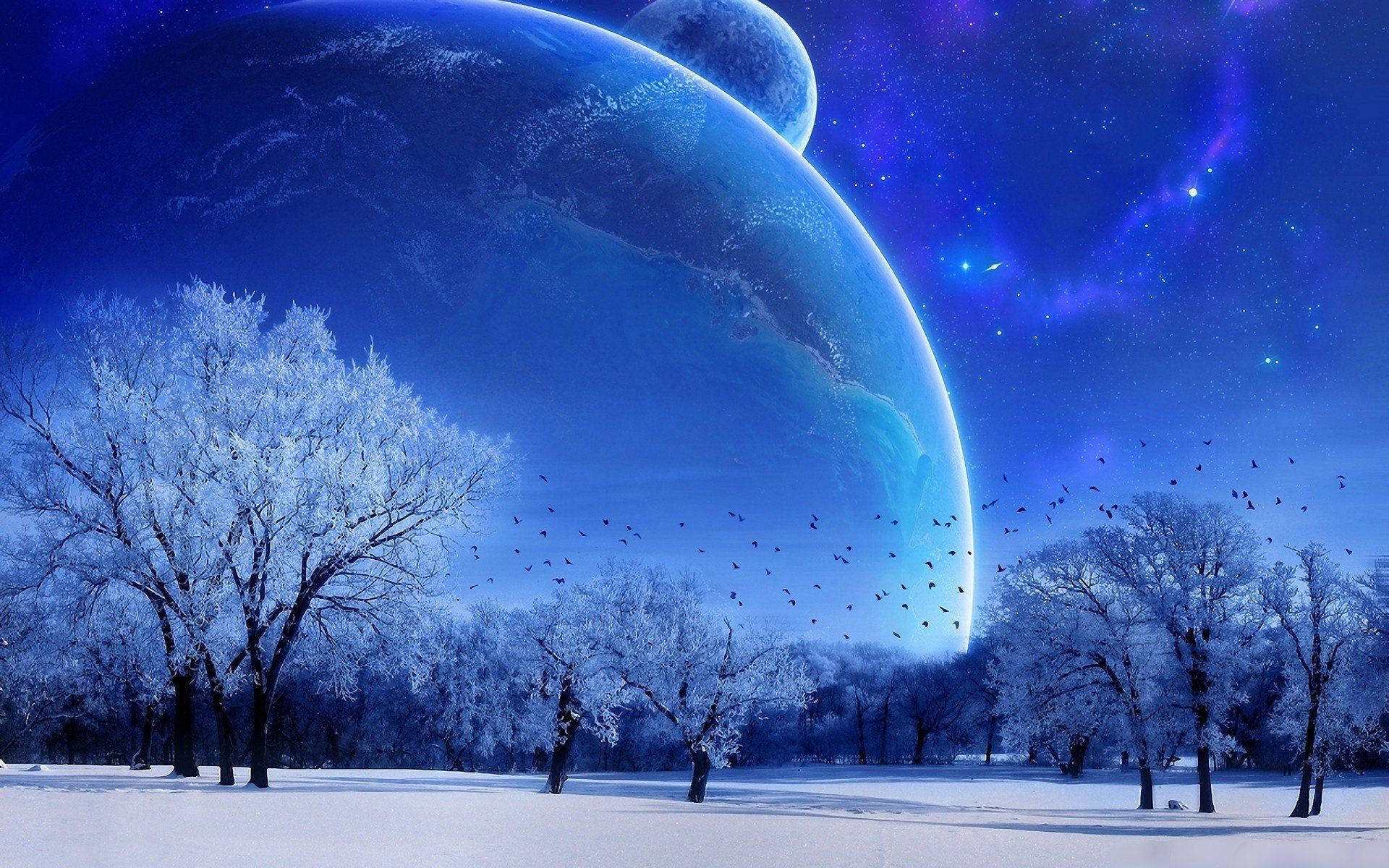 Snow At Night Wallpapers