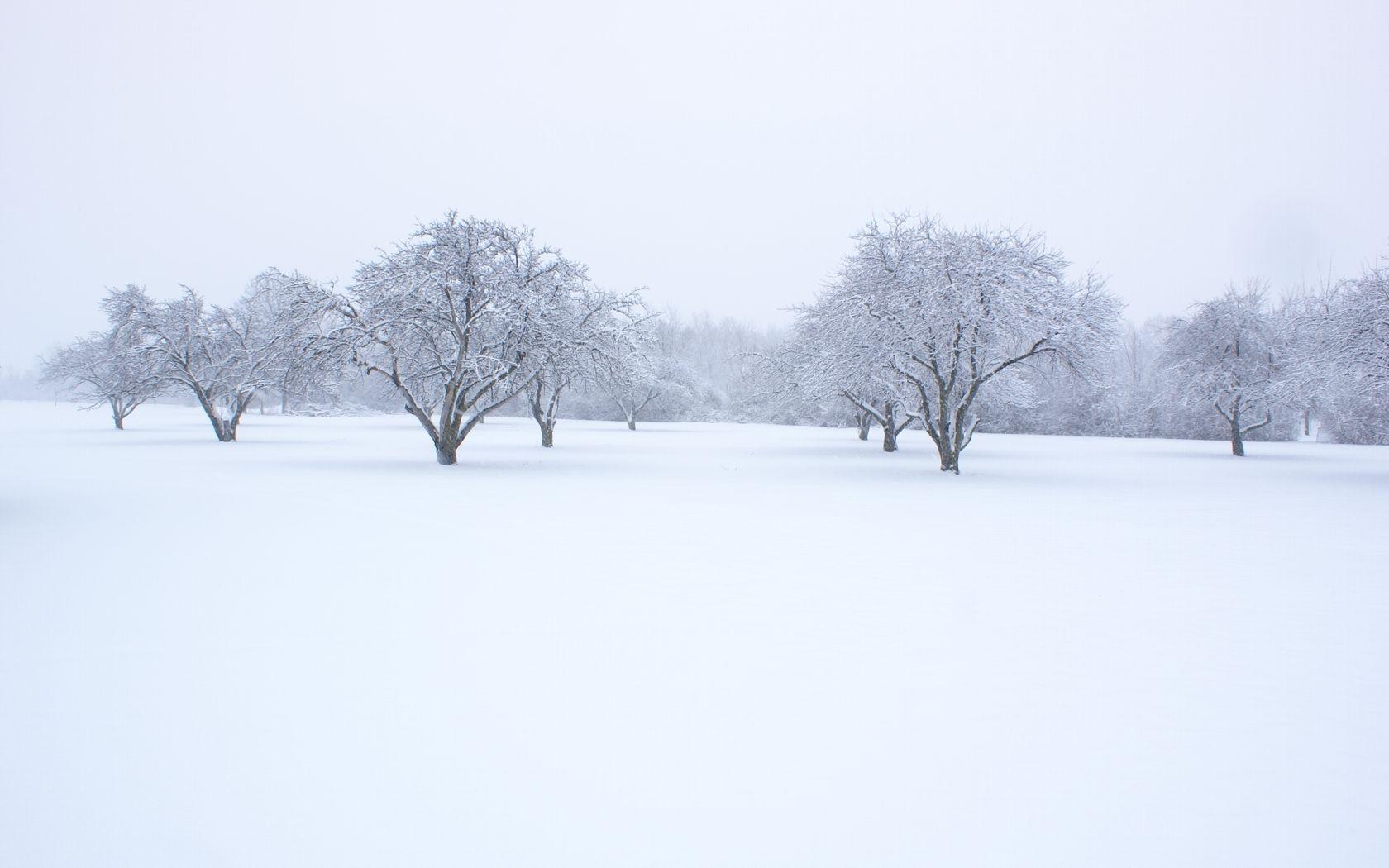 Snow Background