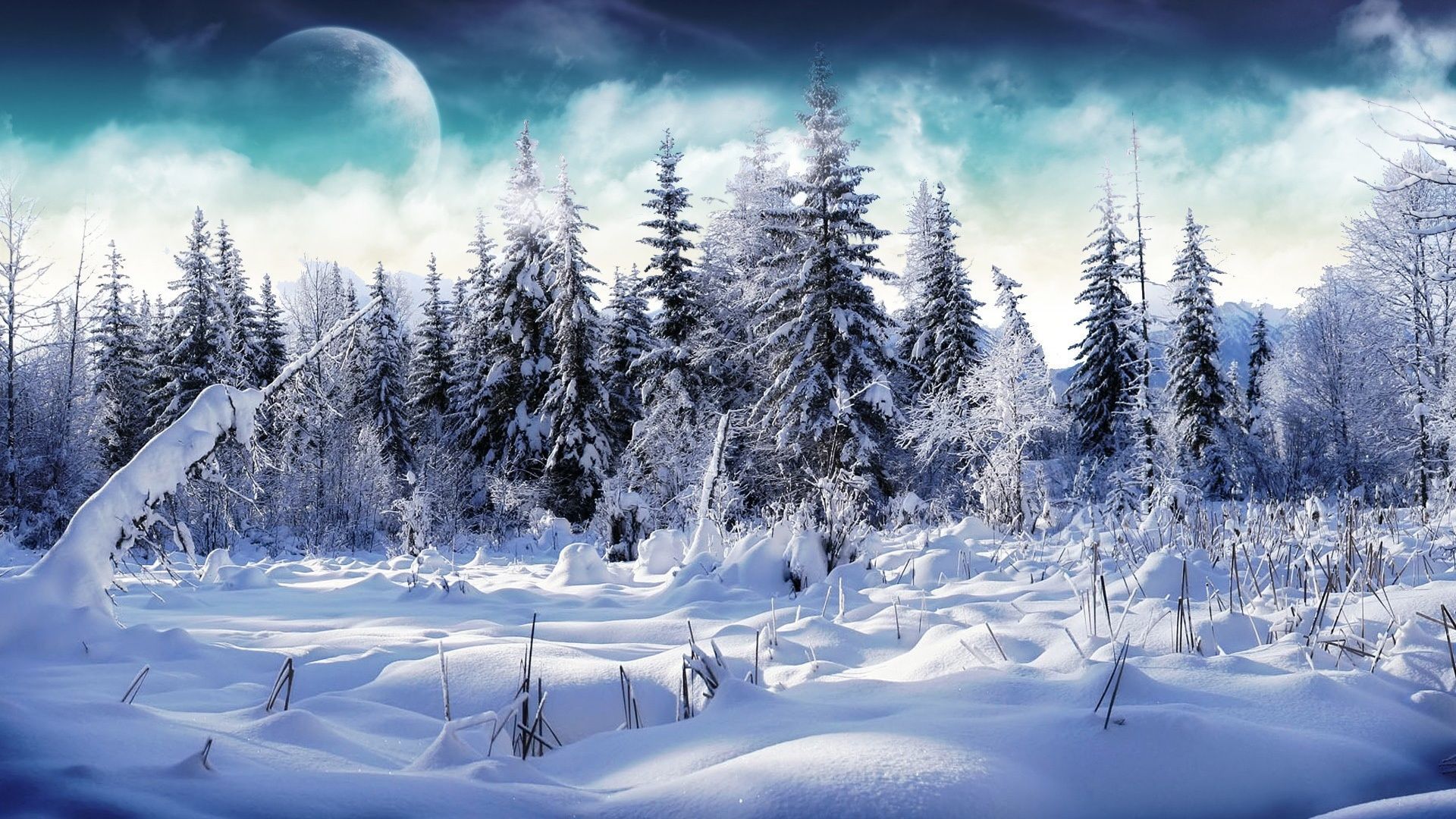 Snow Christmas Wallpapers