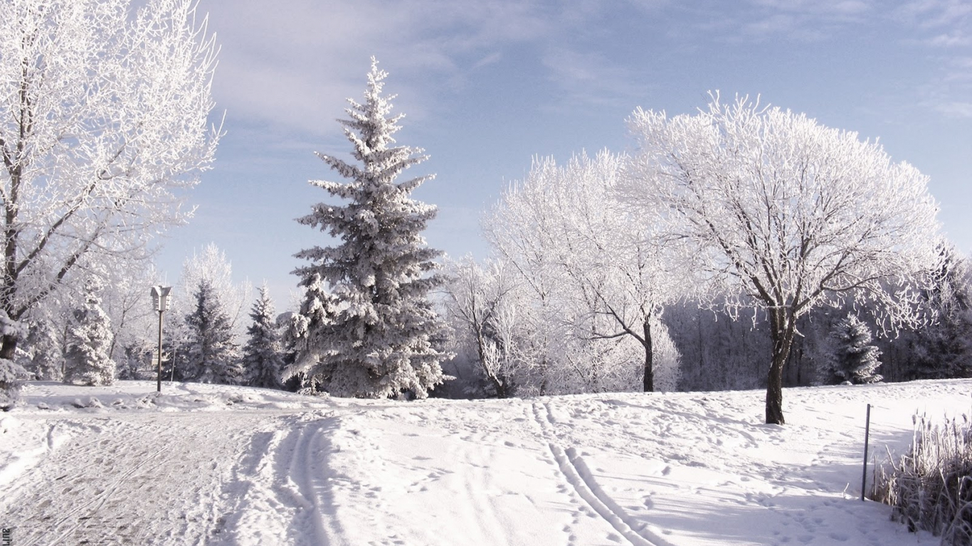 Snow Computer Background