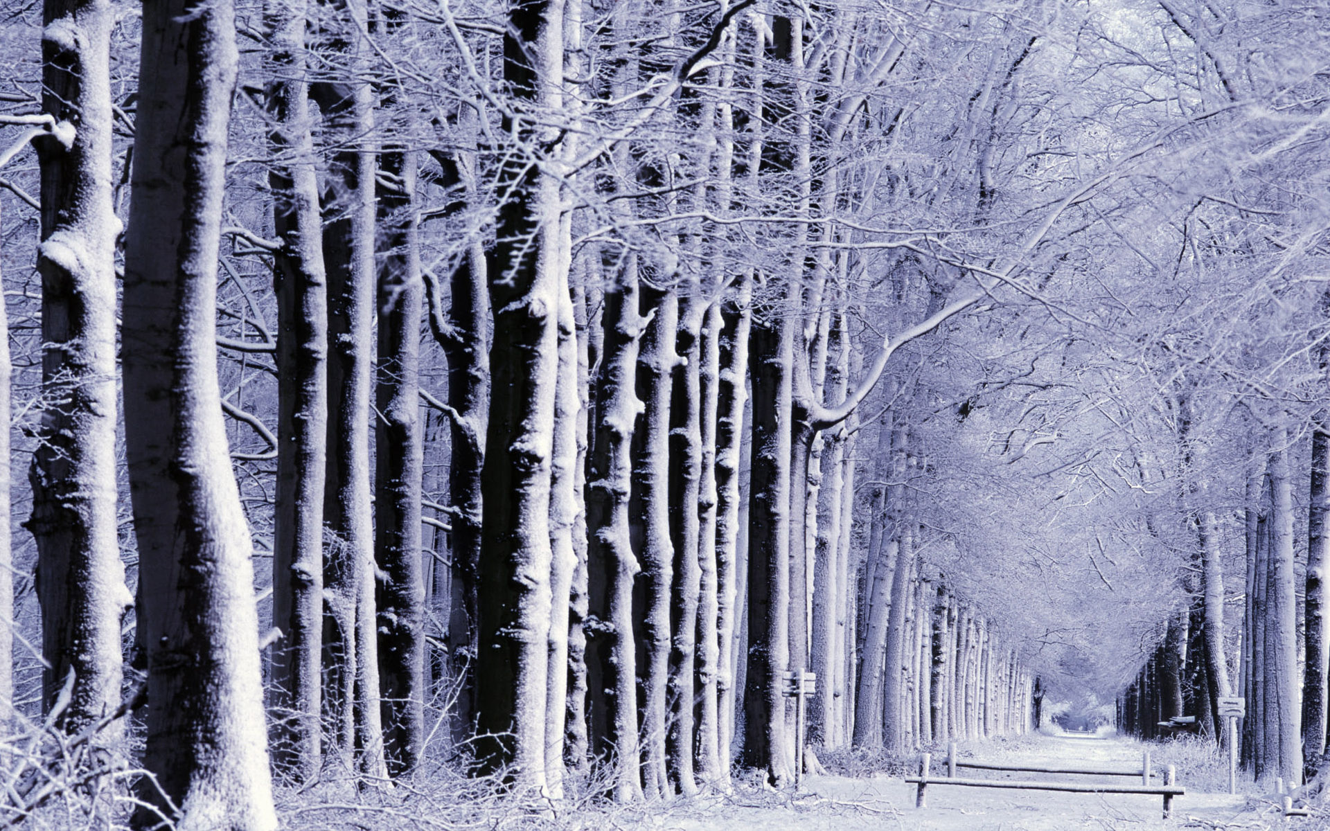 Snow Computer Background