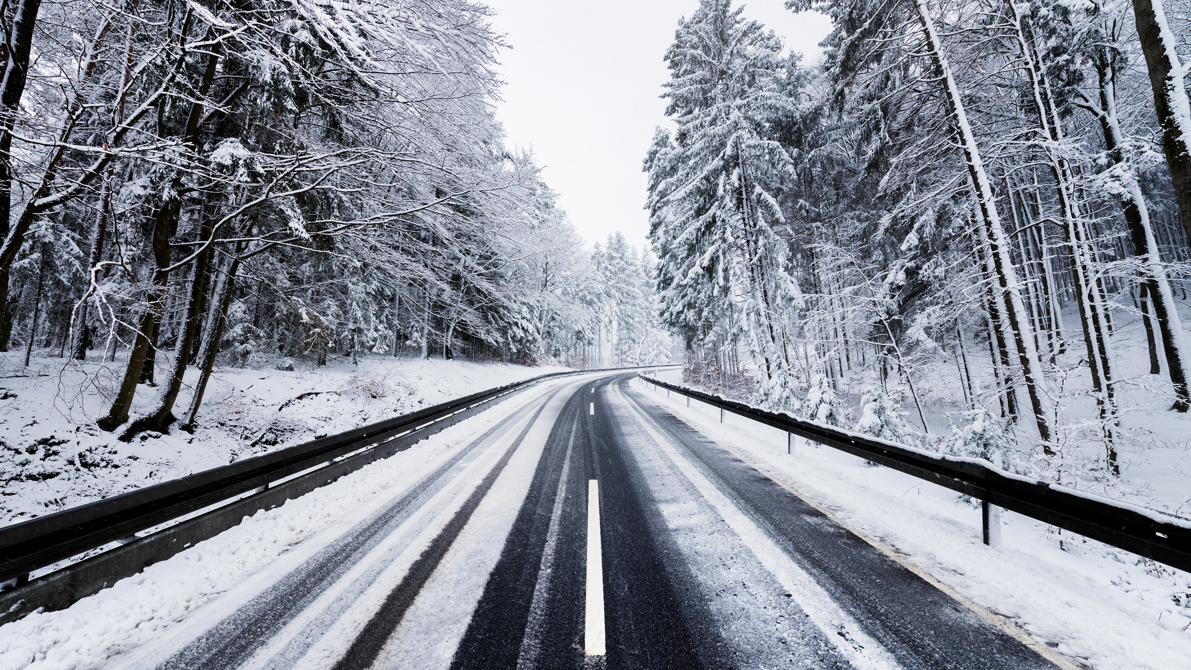 Snow Covered Forest Road Wallpapers