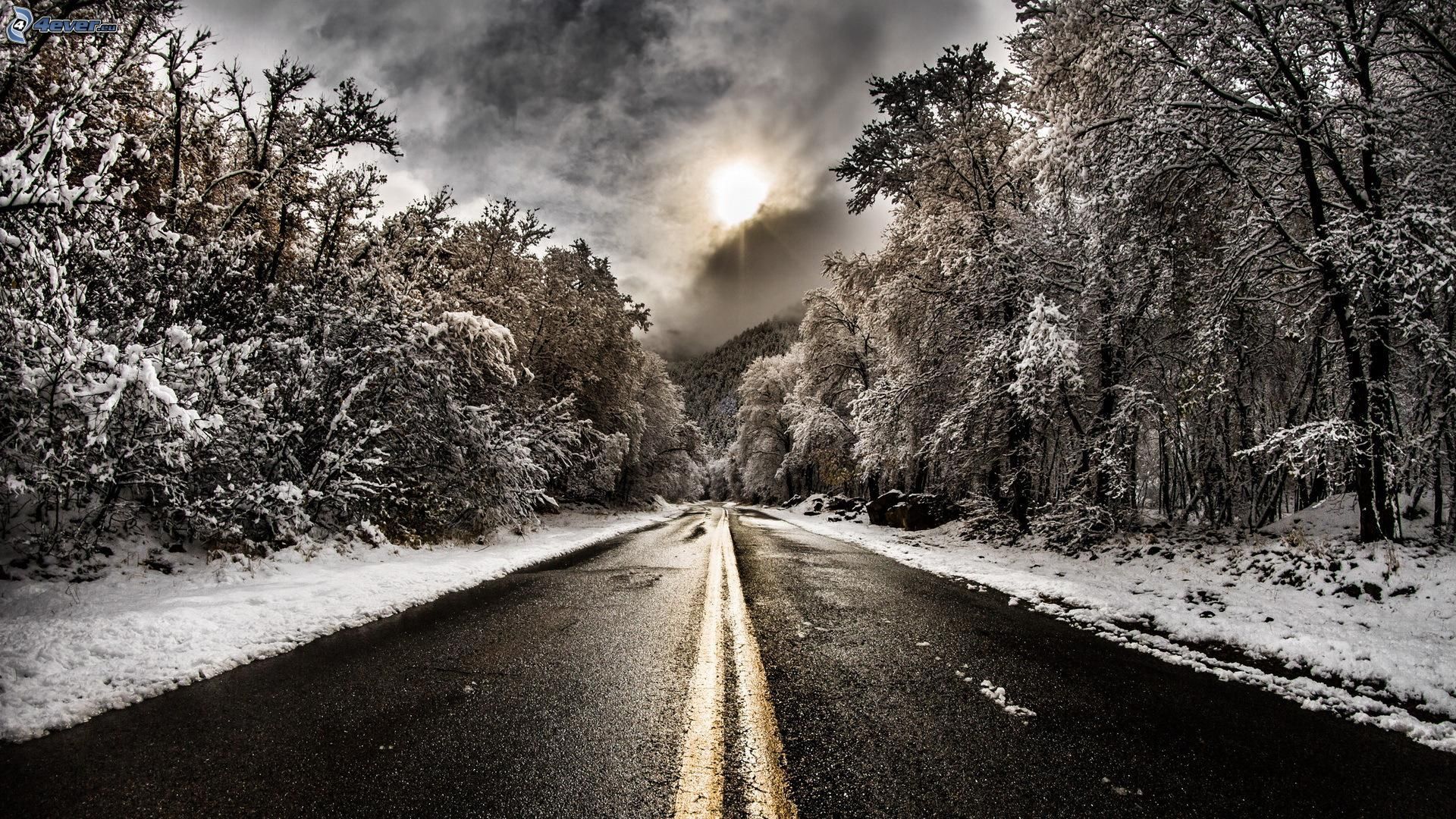 Snow Covered Forest Road Wallpapers