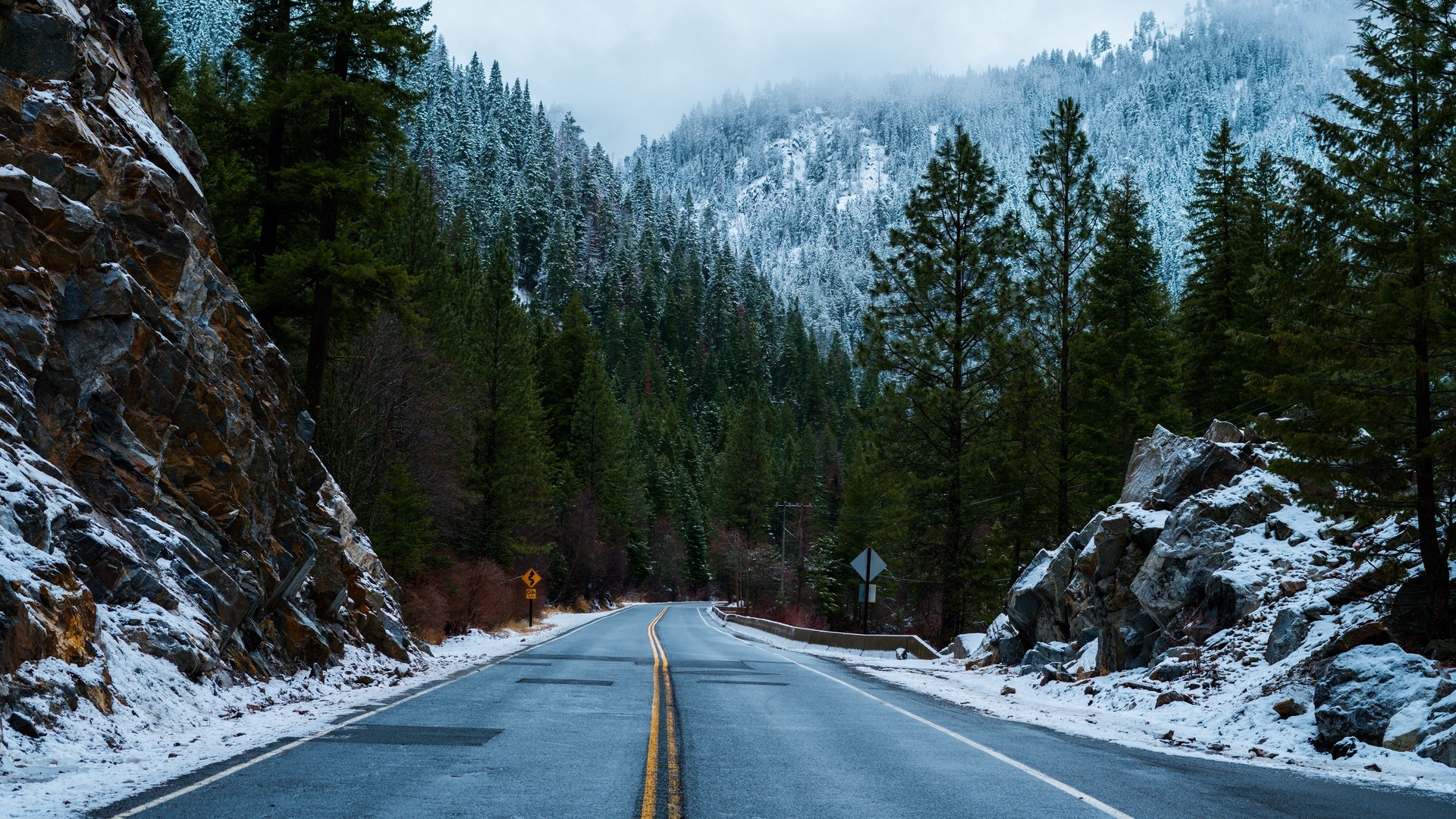 Snow Covered Forest Road Wallpapers