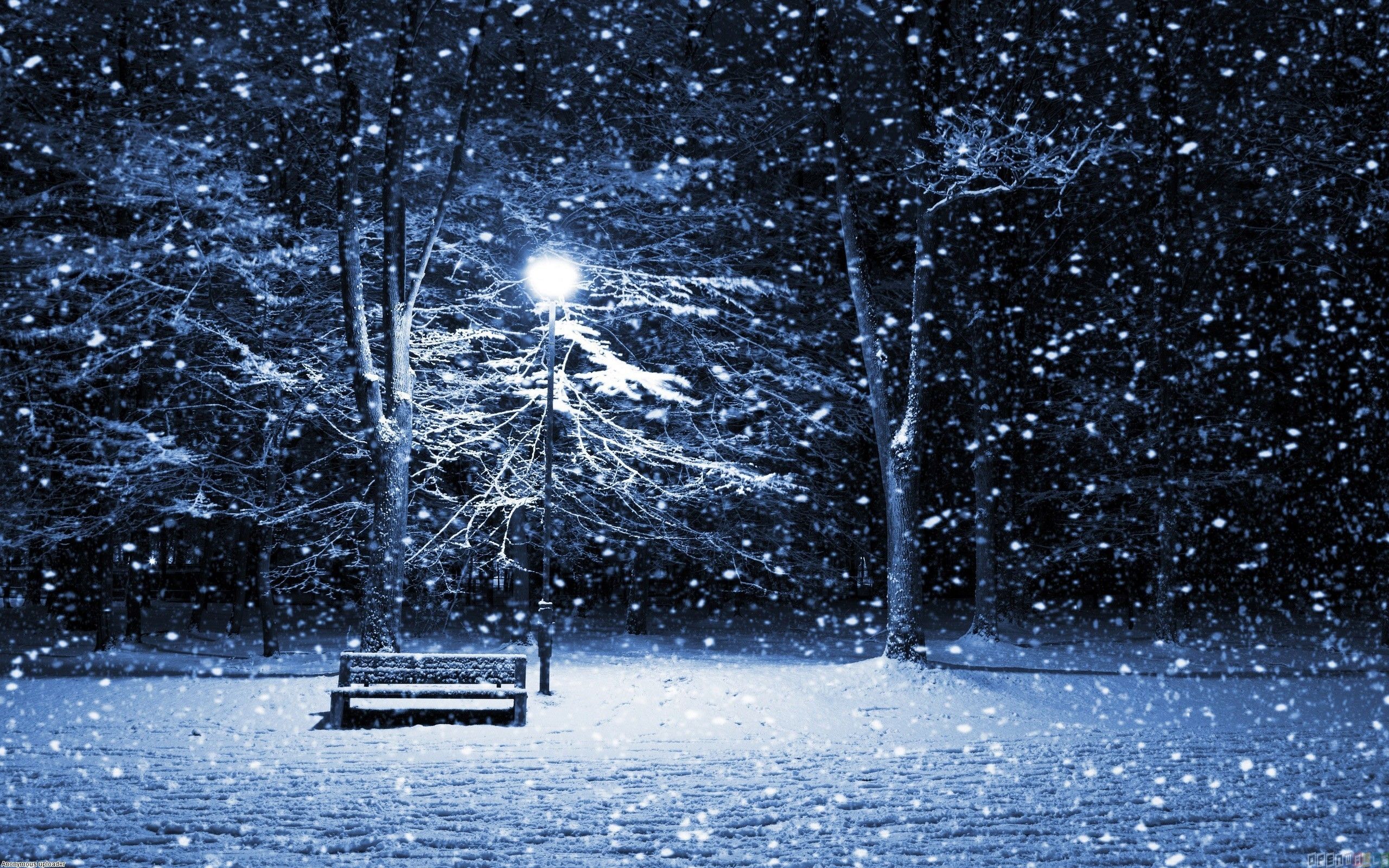 Snow Falling Wallpapers