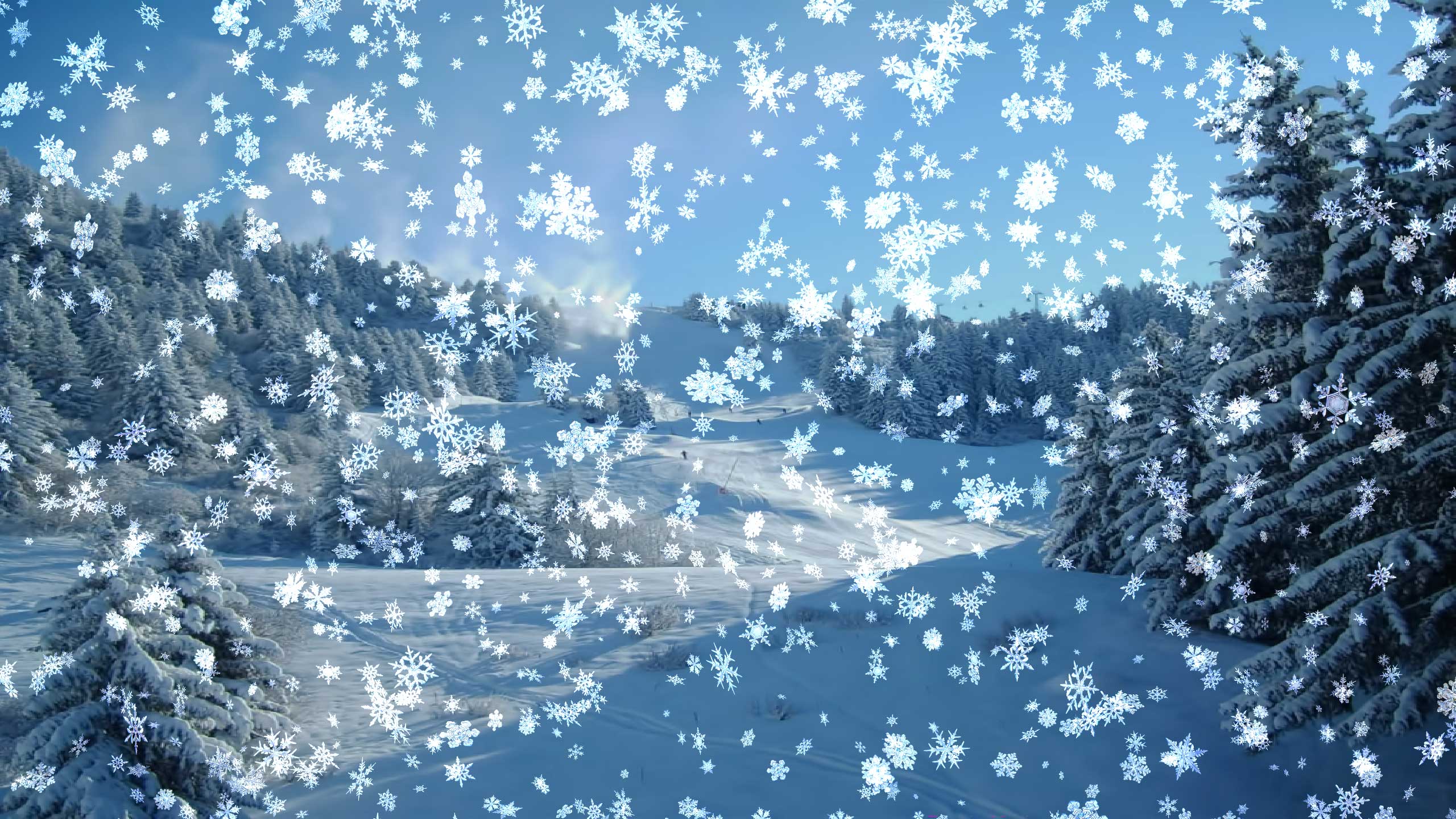 Snow Falling Wallpapers