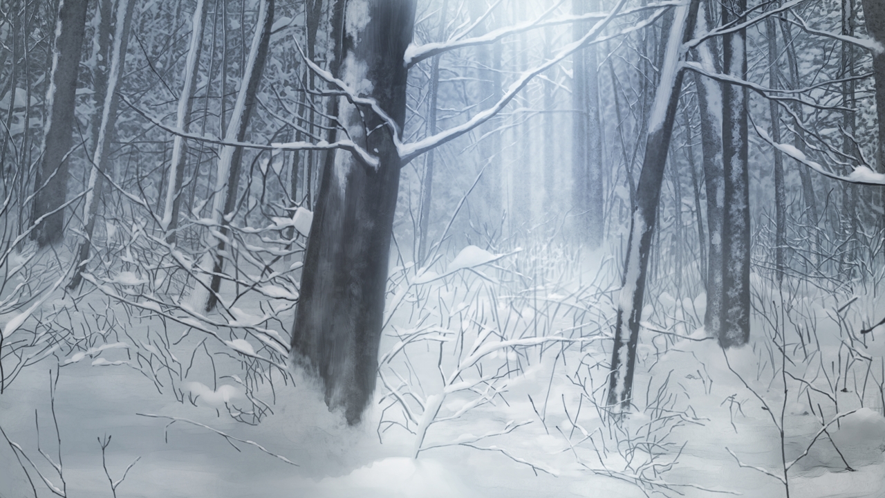 Snow Forest Background