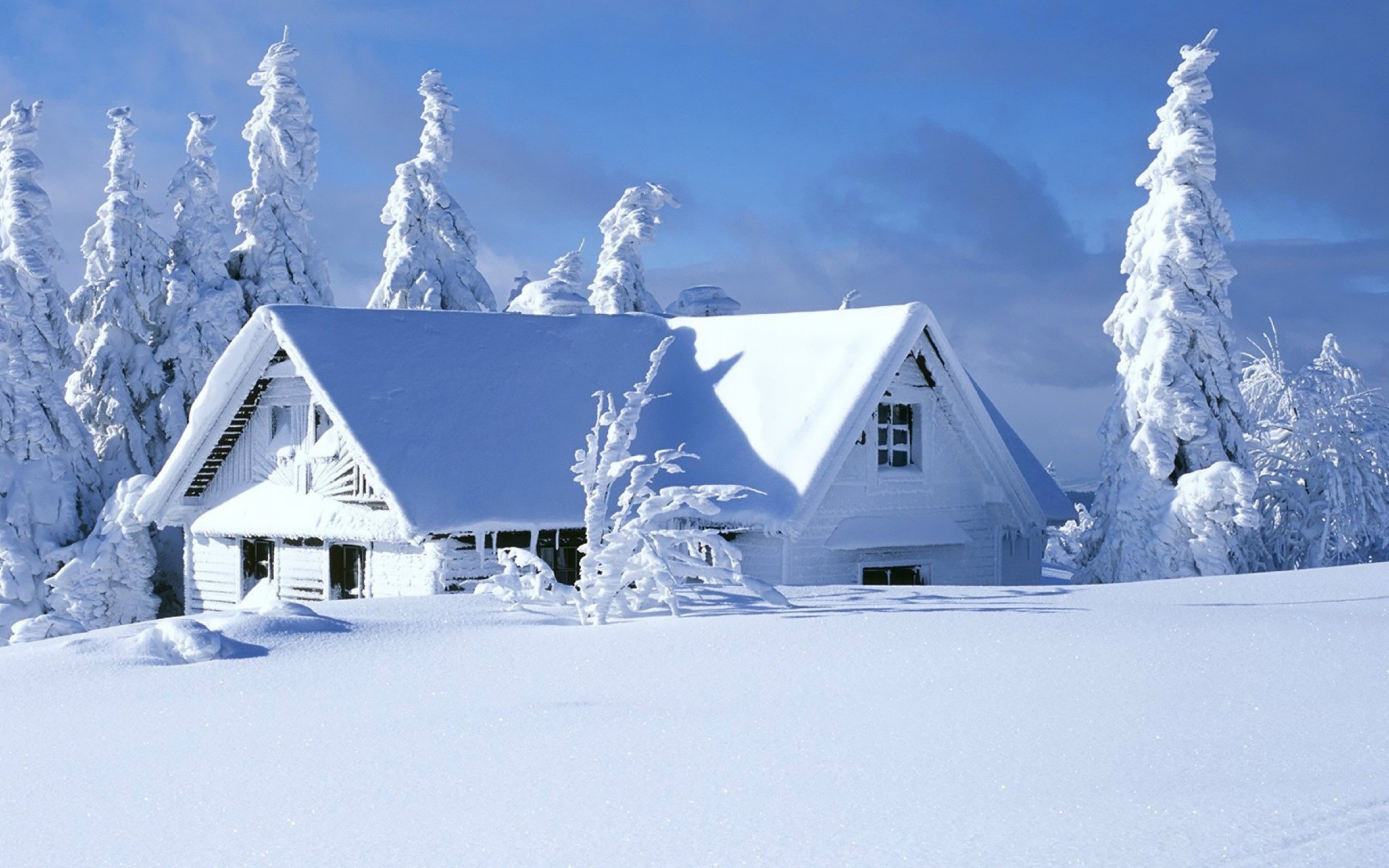 Snow Home Wallpapers