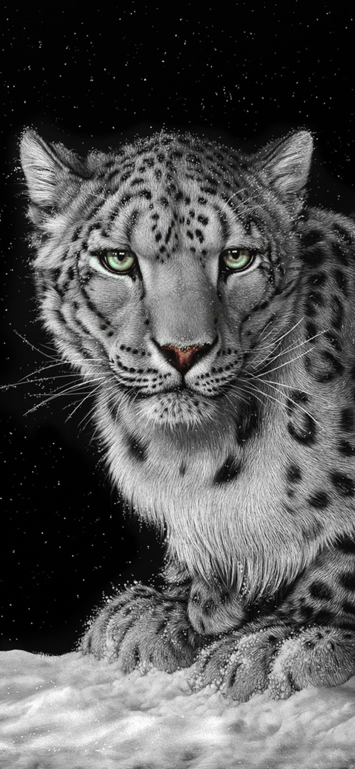 Snow Leopard Wallpapers