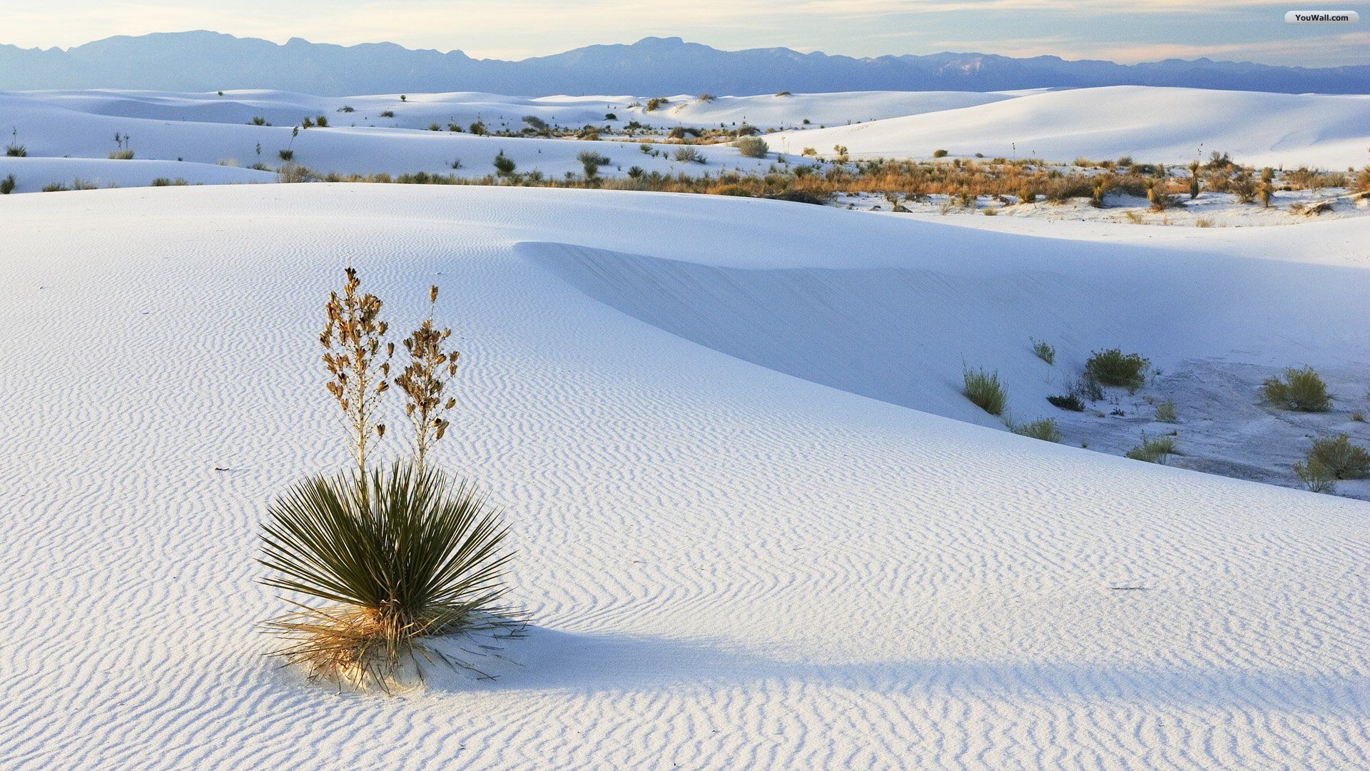 Snow On A Mountain Behind The Desert Wallpapers