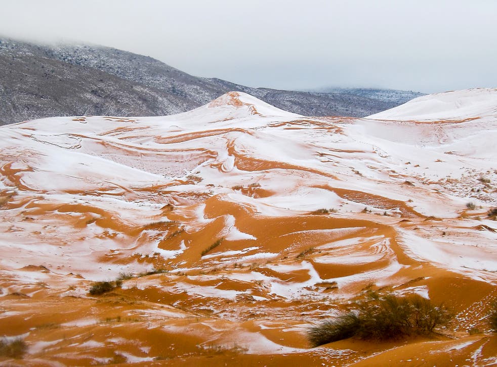 Snow On A Mountain Behind The Desert Wallpapers