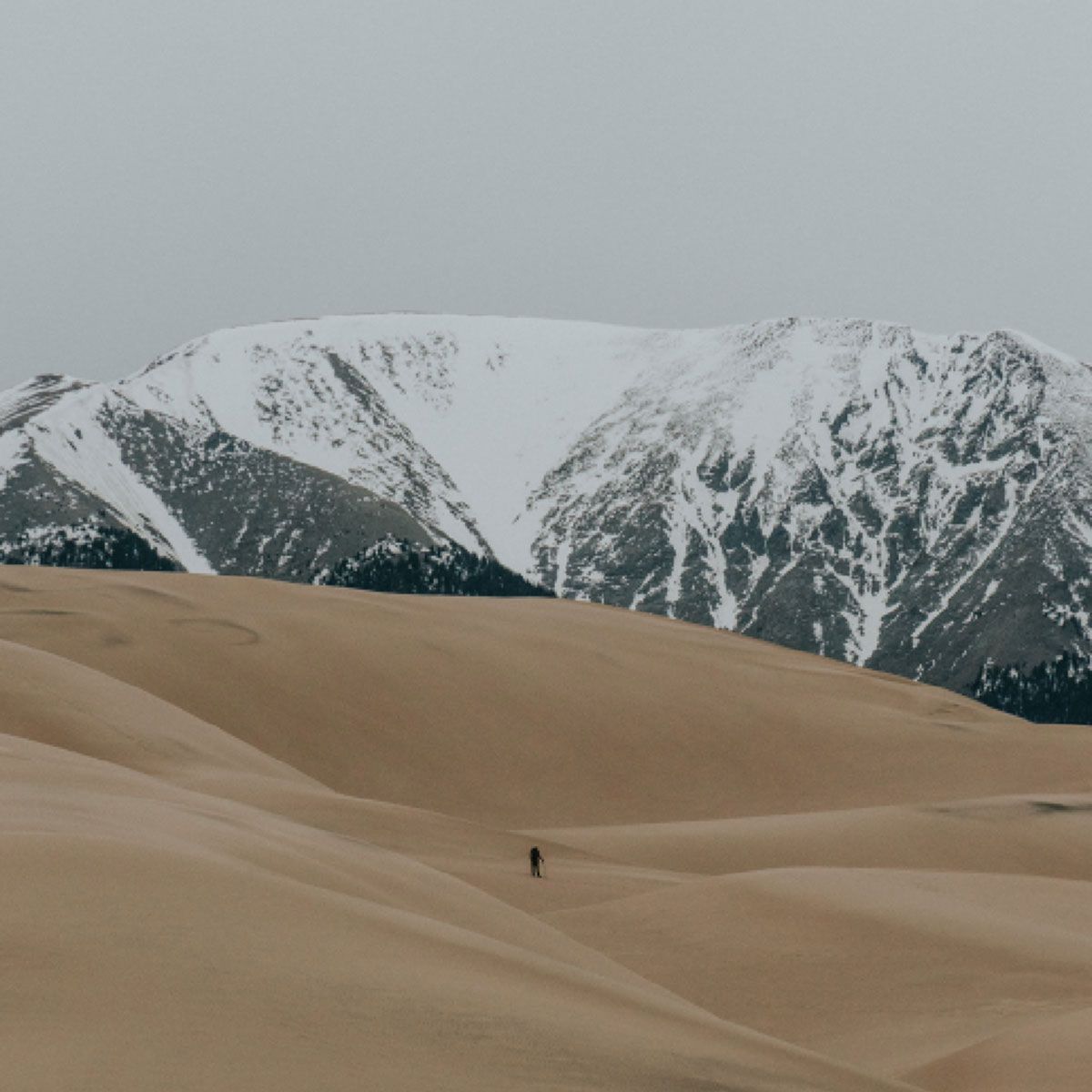 Snow On A Mountain Behind The Desert Wallpapers