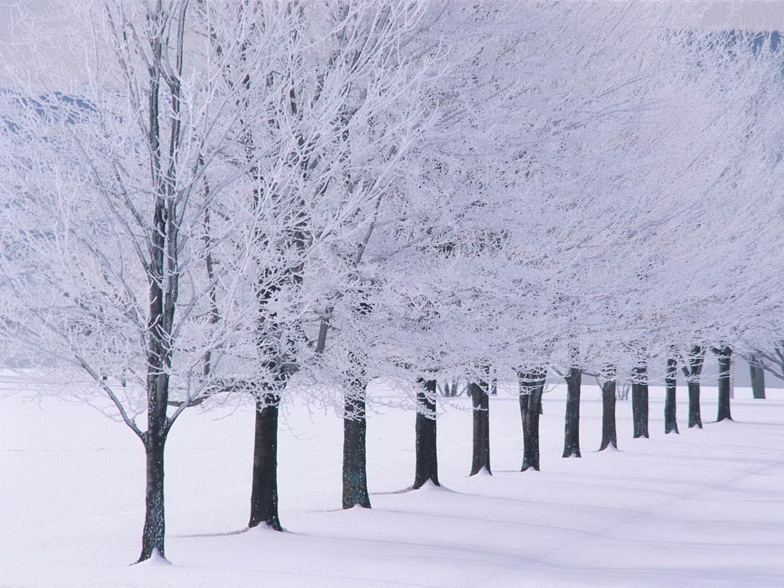 Snow Pictures Vermont Wallpapers