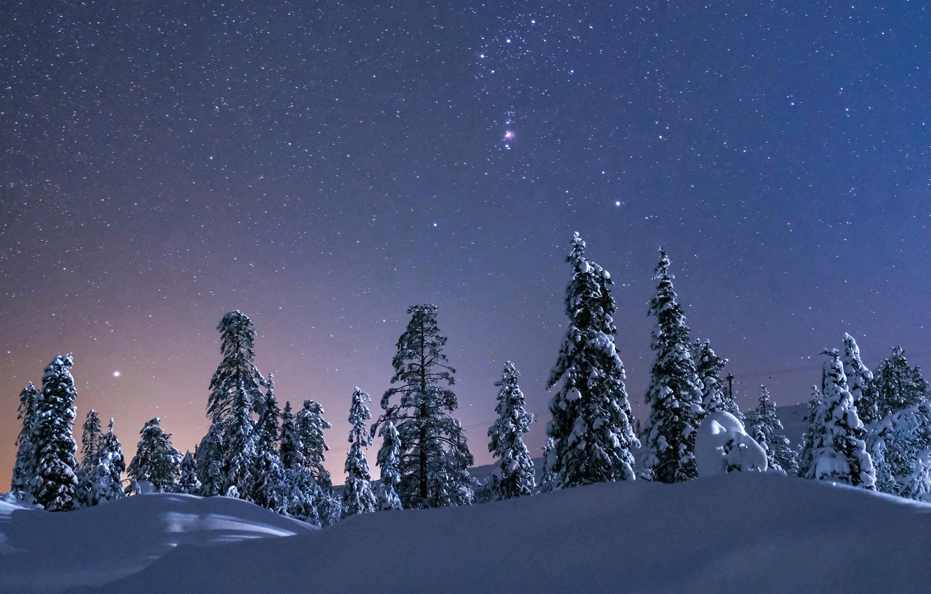 Snow Sky Stars Trees Wallpapers