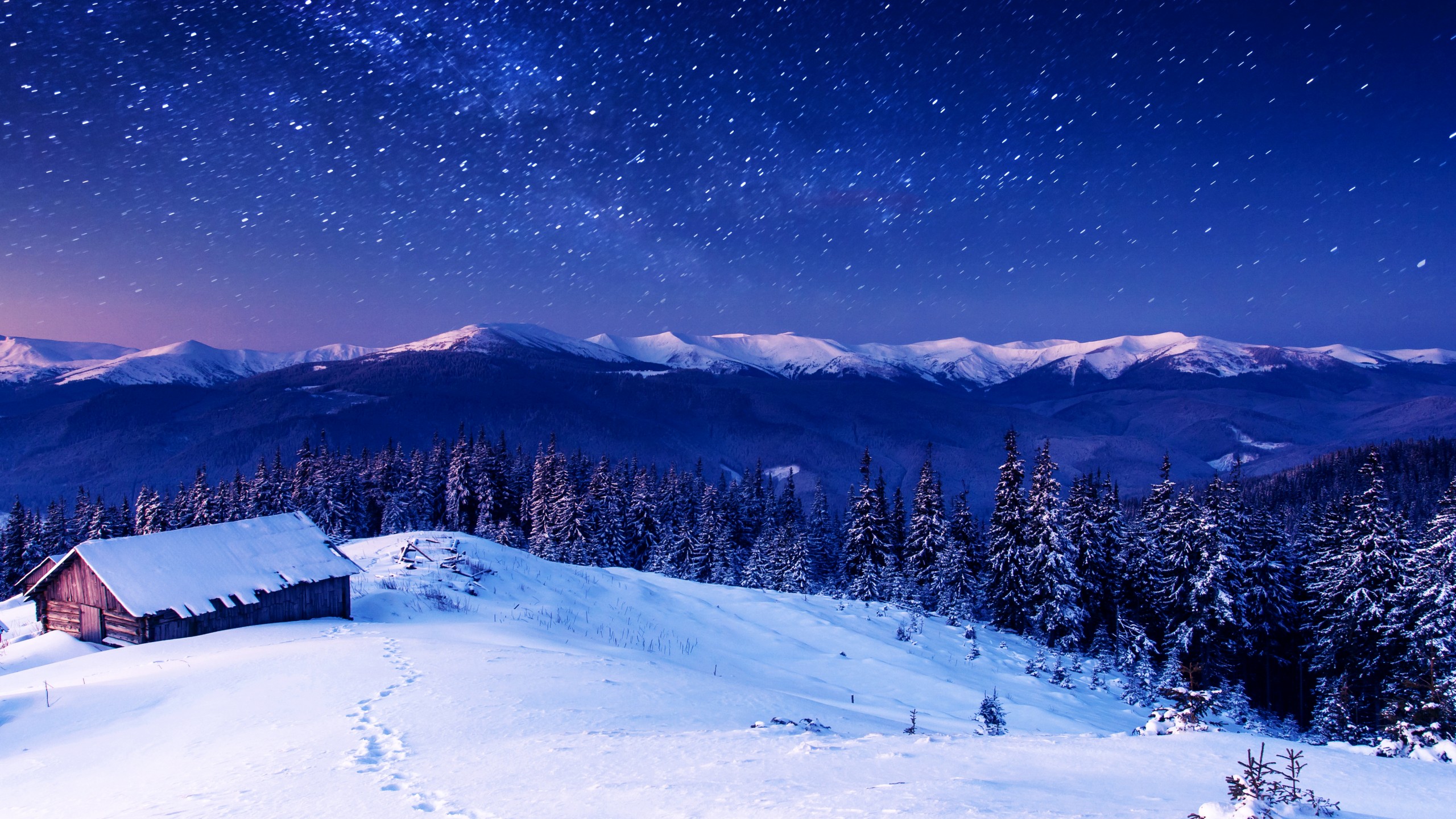 Snow Sky Stars Trees Wallpapers