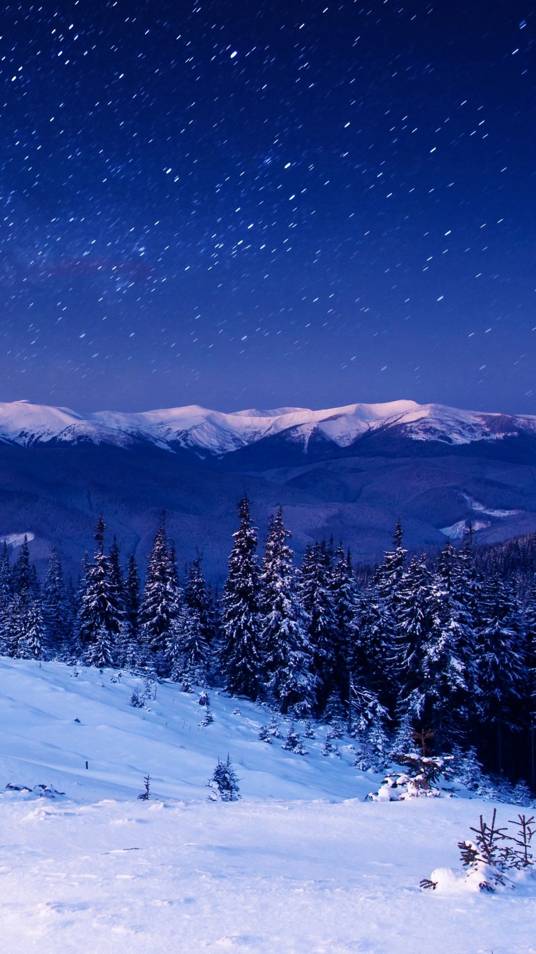 Snow Sky Stars Trees Wallpapers