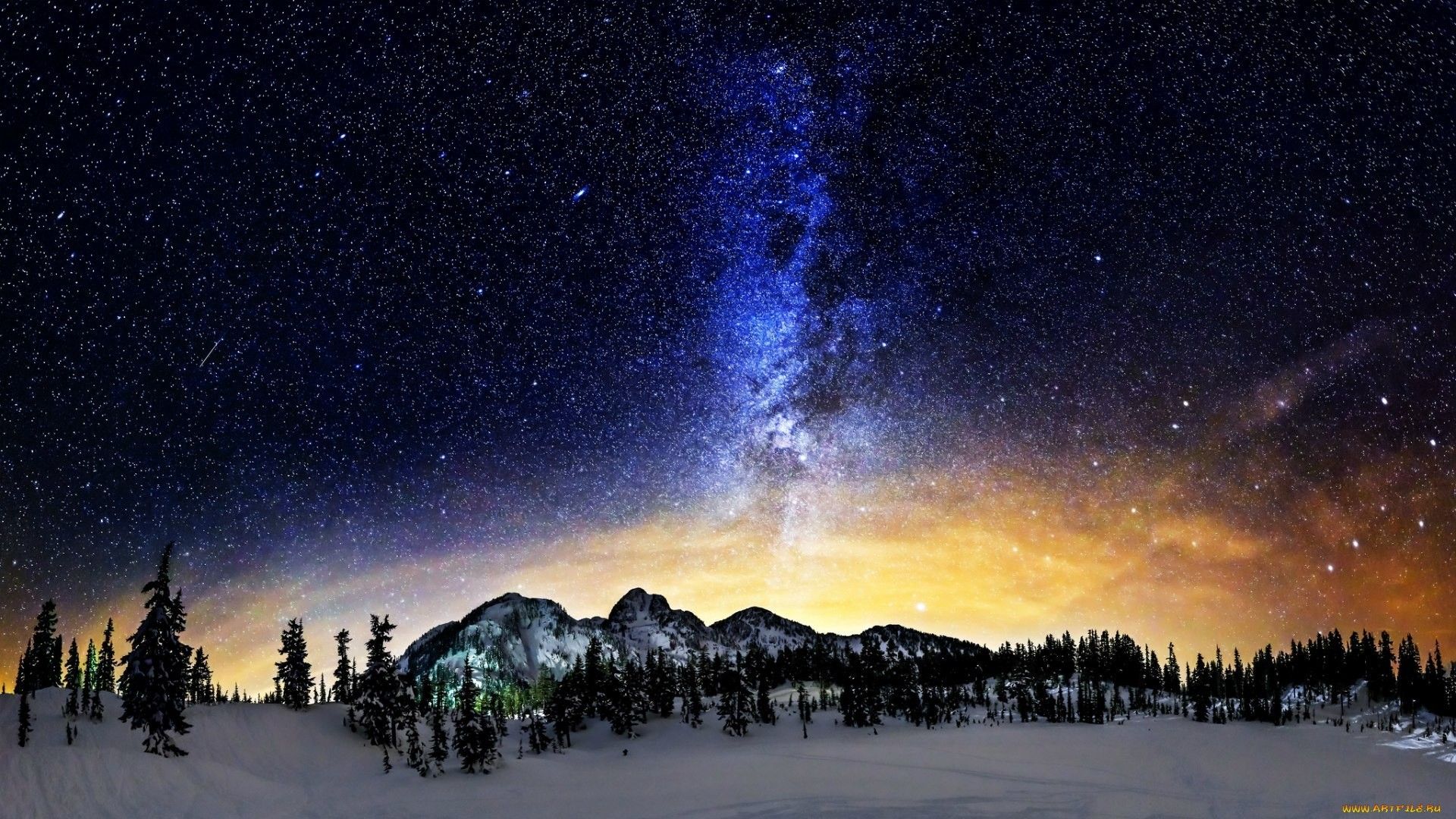 Snow Sky Stars Trees Wallpapers