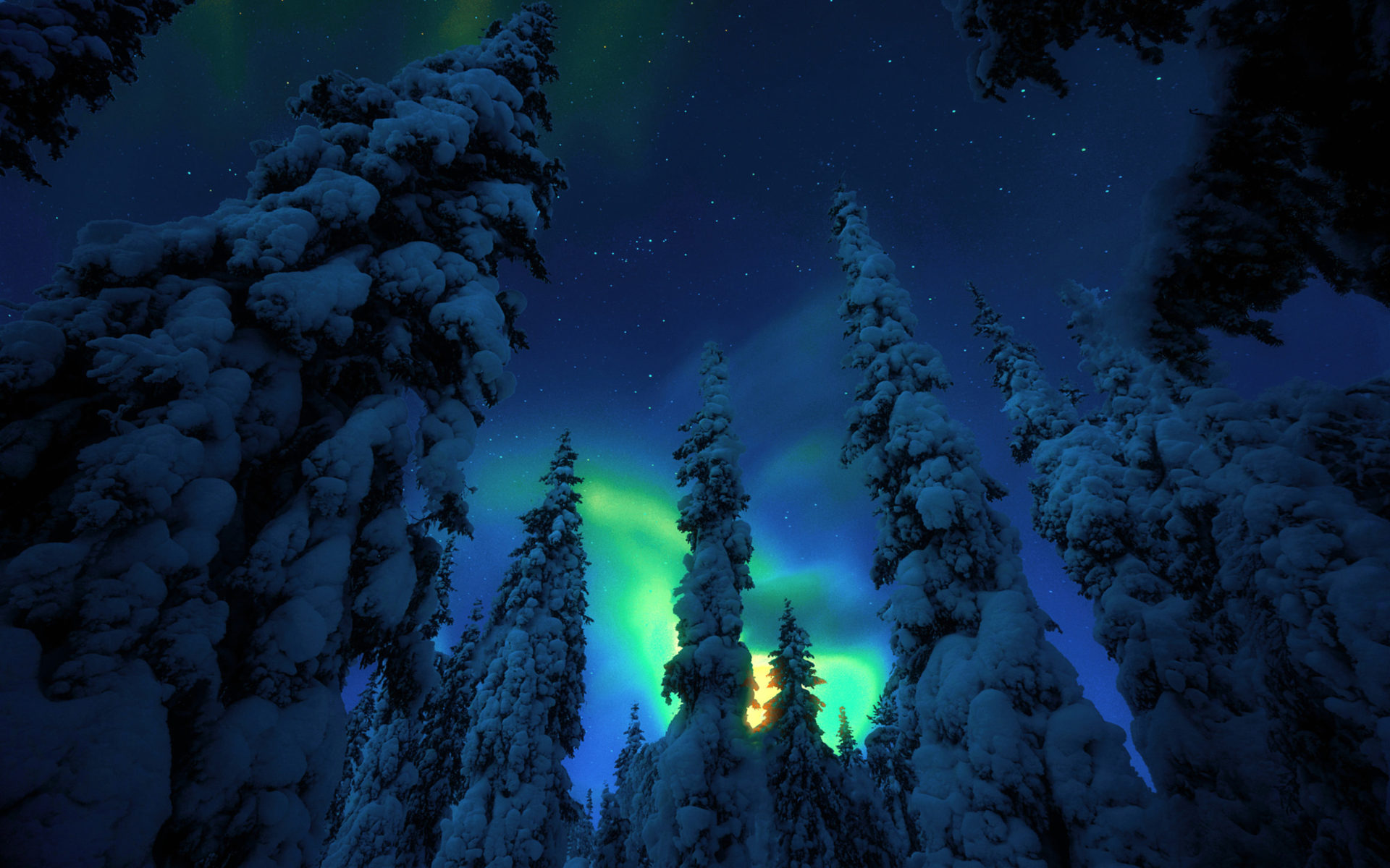 Snow Sky Stars Trees Wallpapers