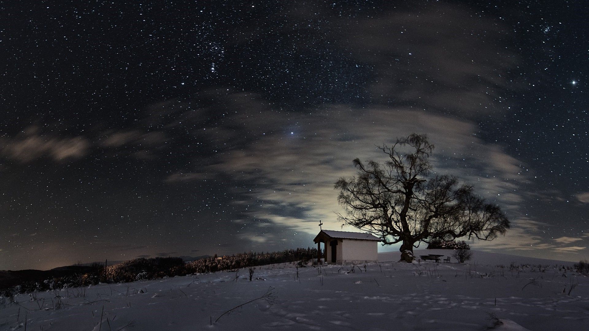 Snow Sky Stars Trees Wallpapers