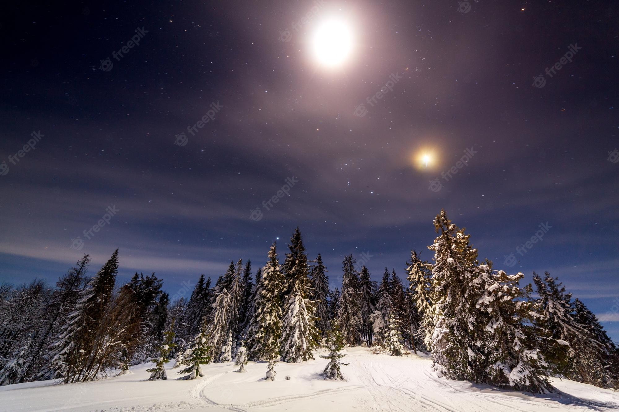 Snow Sky Stars Trees Wallpapers