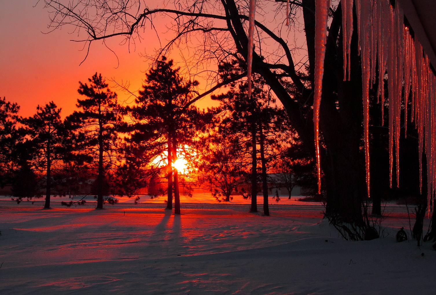 Snow Sunset Wallpapers