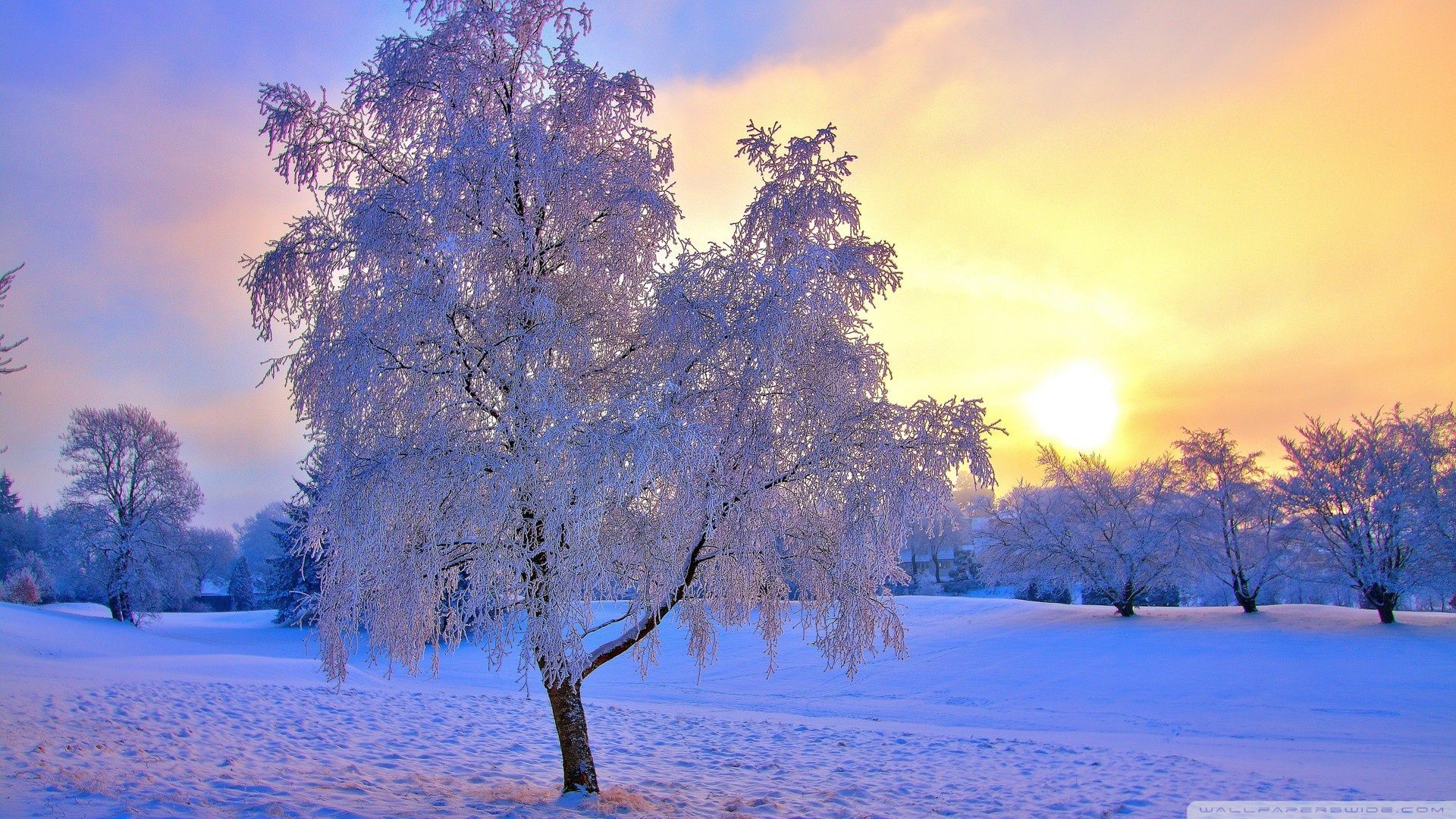 Snow Sunset Wallpapers