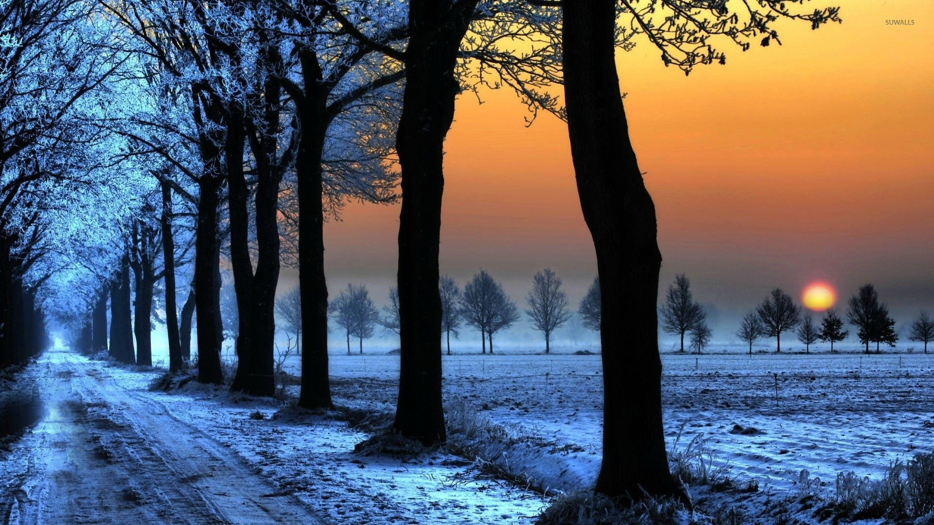 Snow Sunset Wallpapers