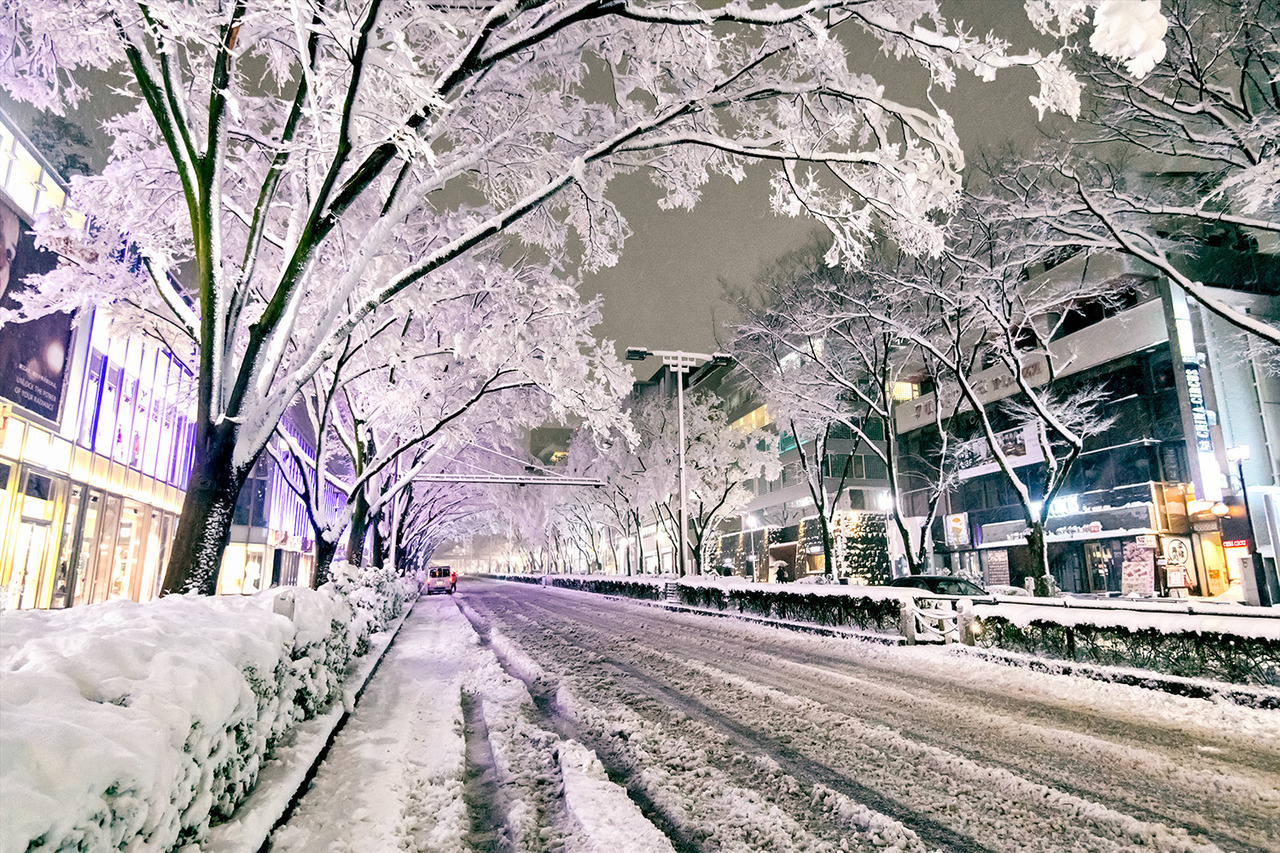 Snow Tokyo Wallpapers