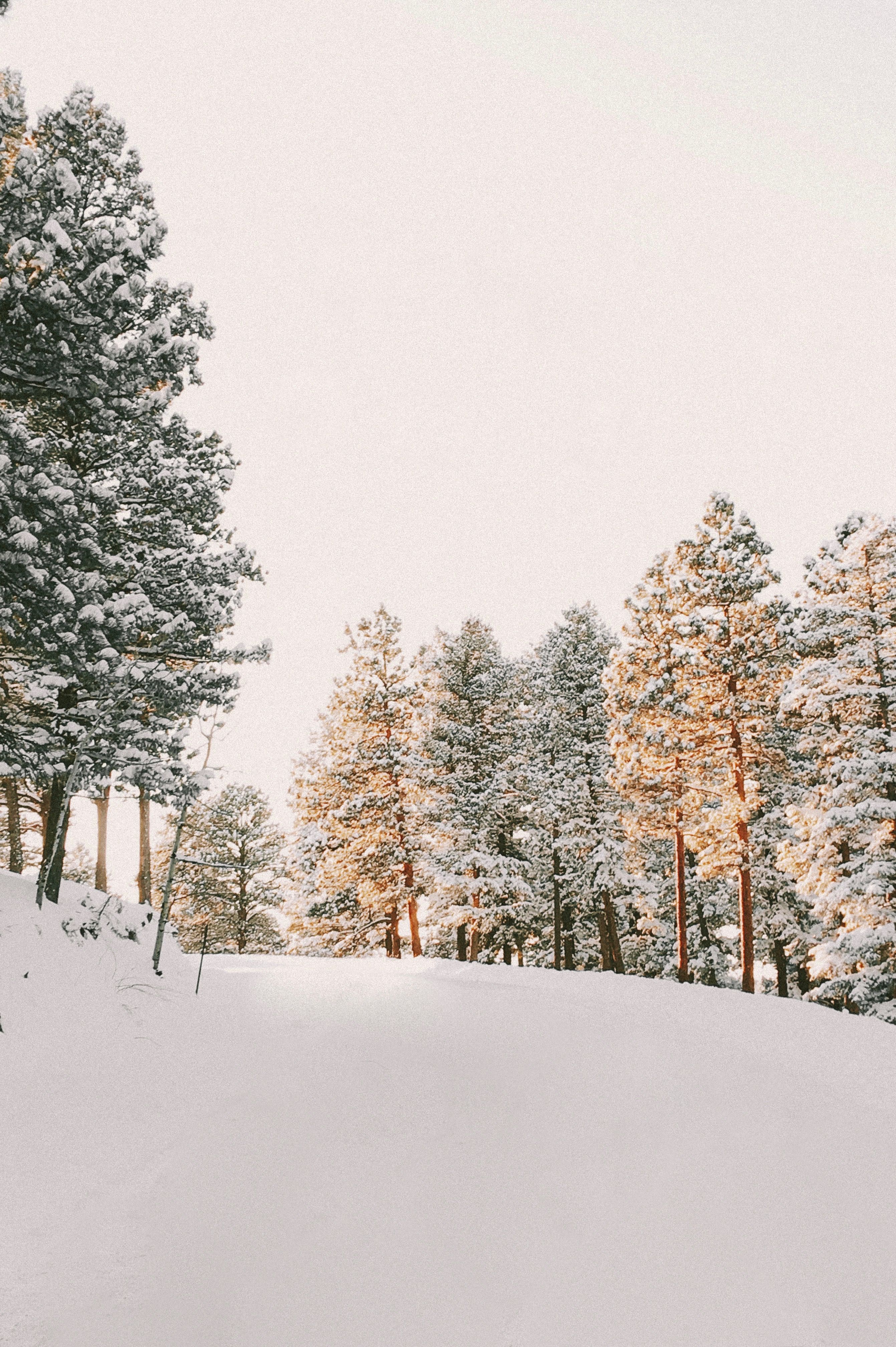 Snow Vsco Wallpapers