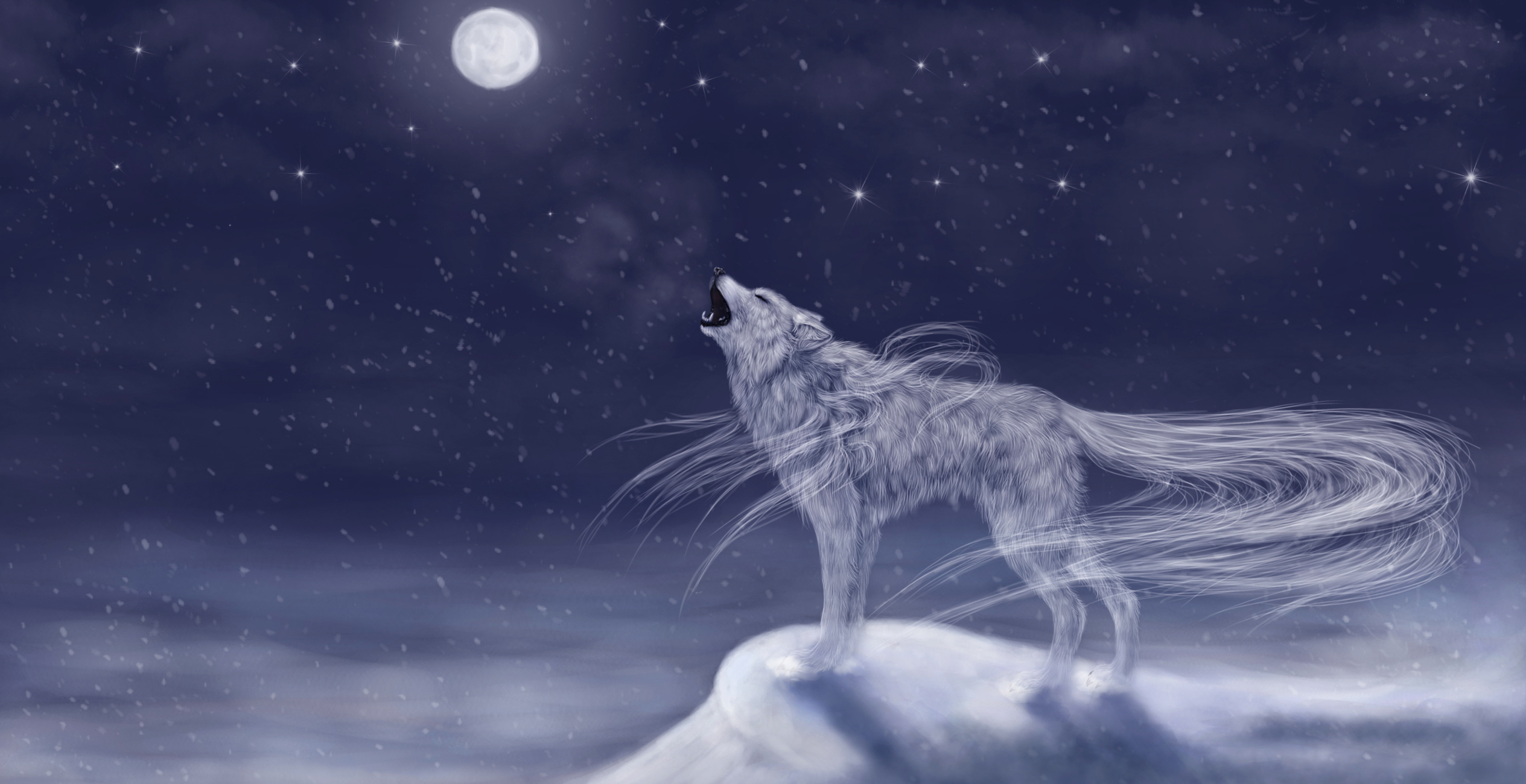 Snow Wolf Wallpapers