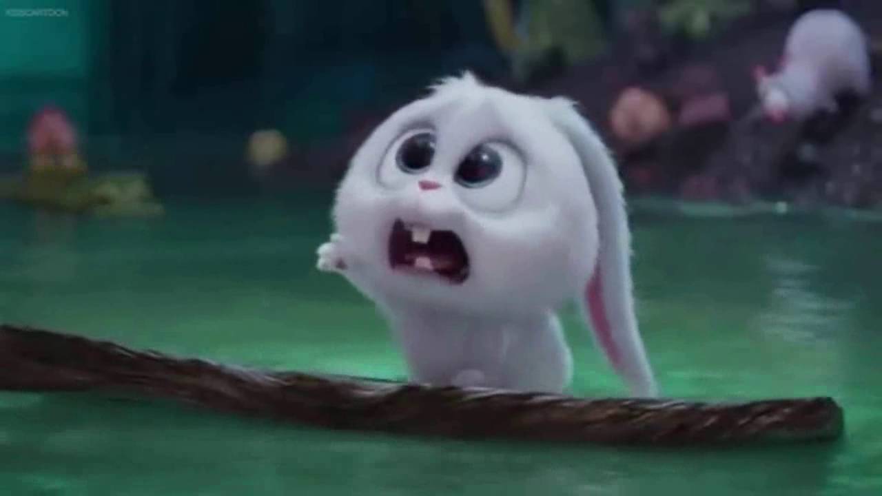 Snowball The Secret Life Of Pets 2 Wallpapers