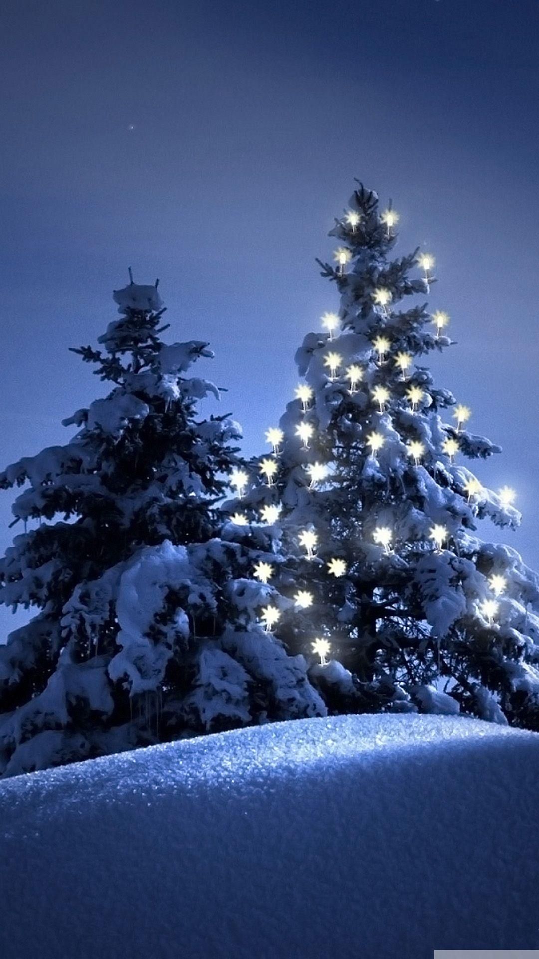 Snowey Christmas Trees Wallpapers