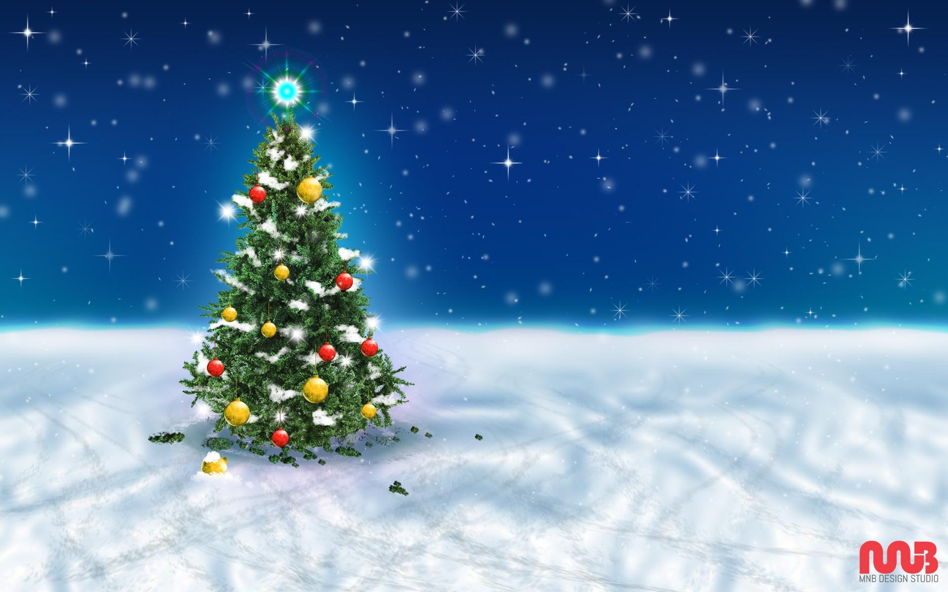 Snowey Christmas Trees Wallpapers