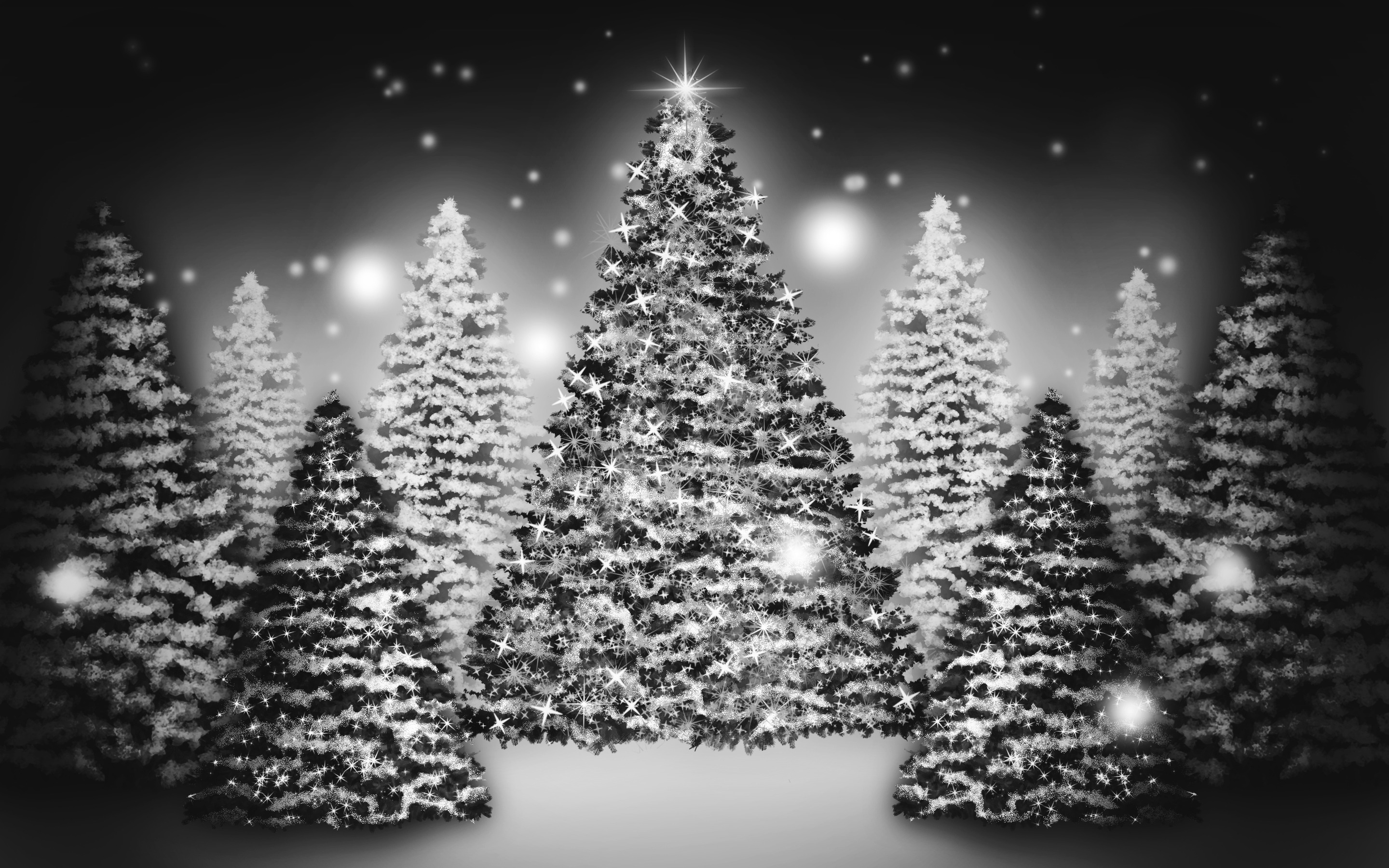 Snowey Christmas Trees Wallpapers