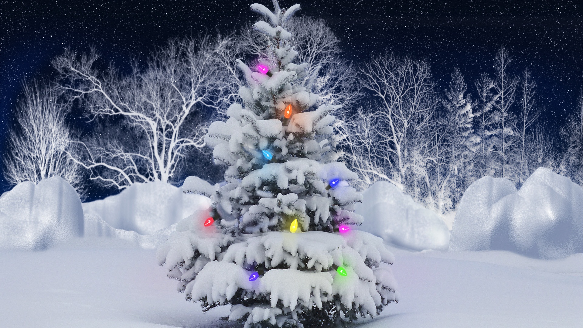 Snowey Christmas Trees Wallpapers