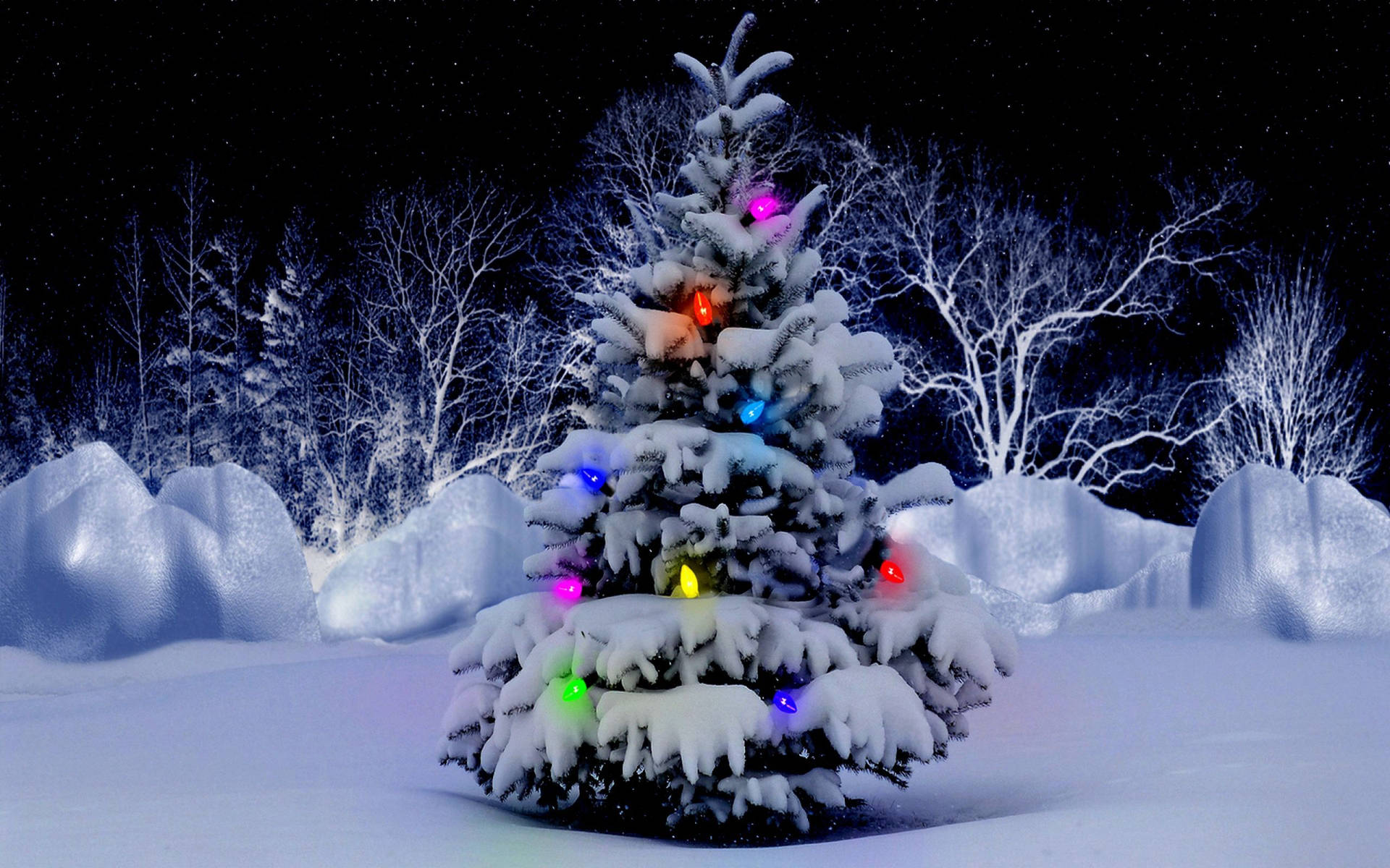 Snowey Christmas Trees Wallpapers