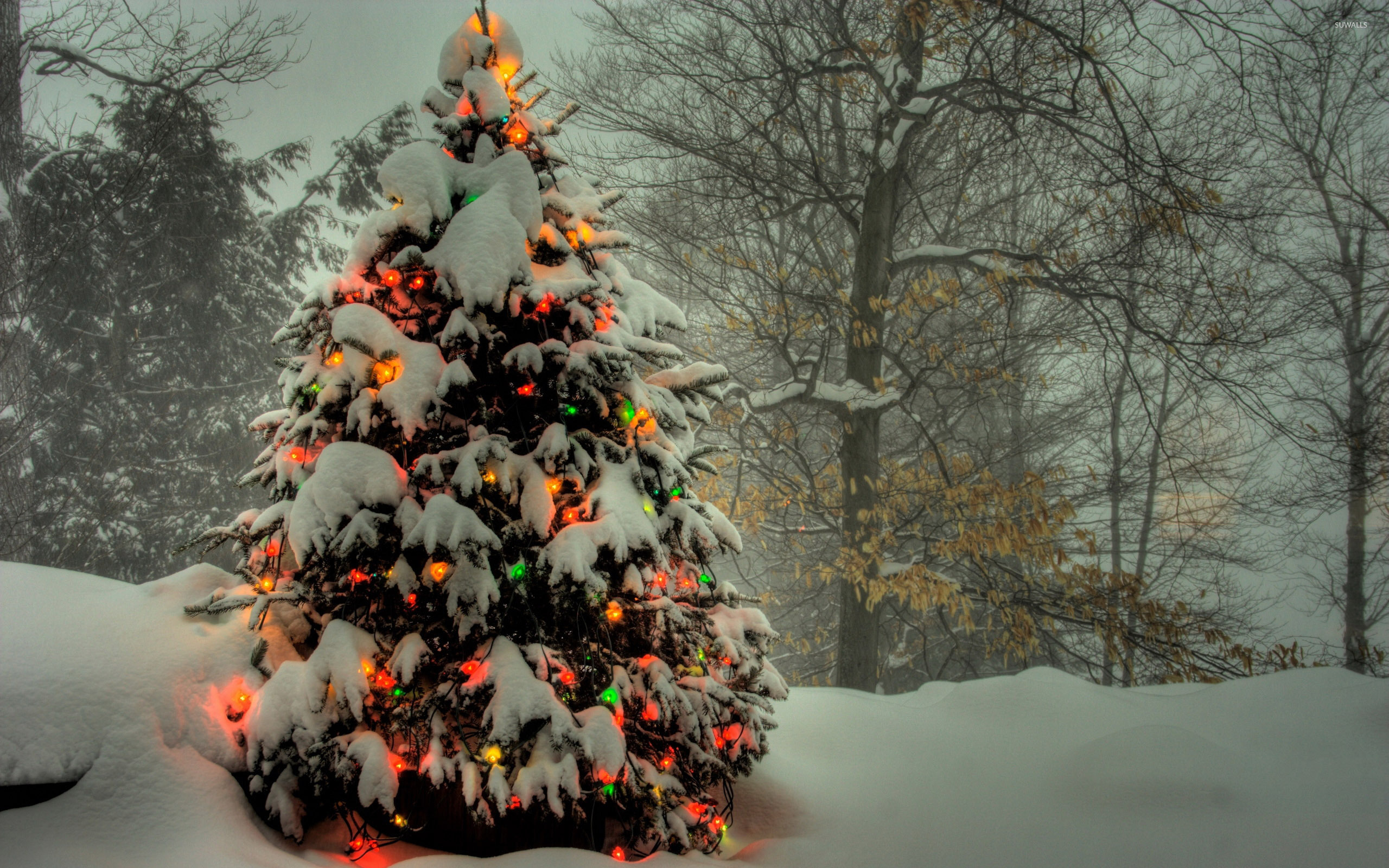 Snowey Christmas Trees Wallpapers
