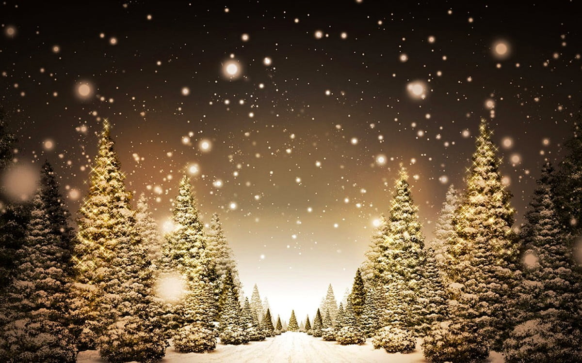 Snowey Christmas Trees Wallpapers