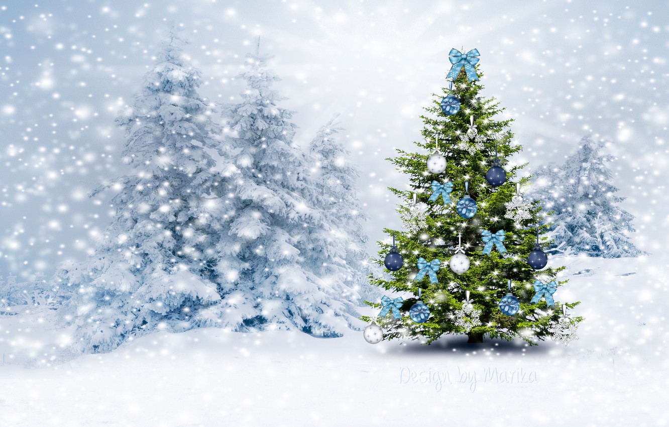 Snowey Christmas Trees Wallpapers