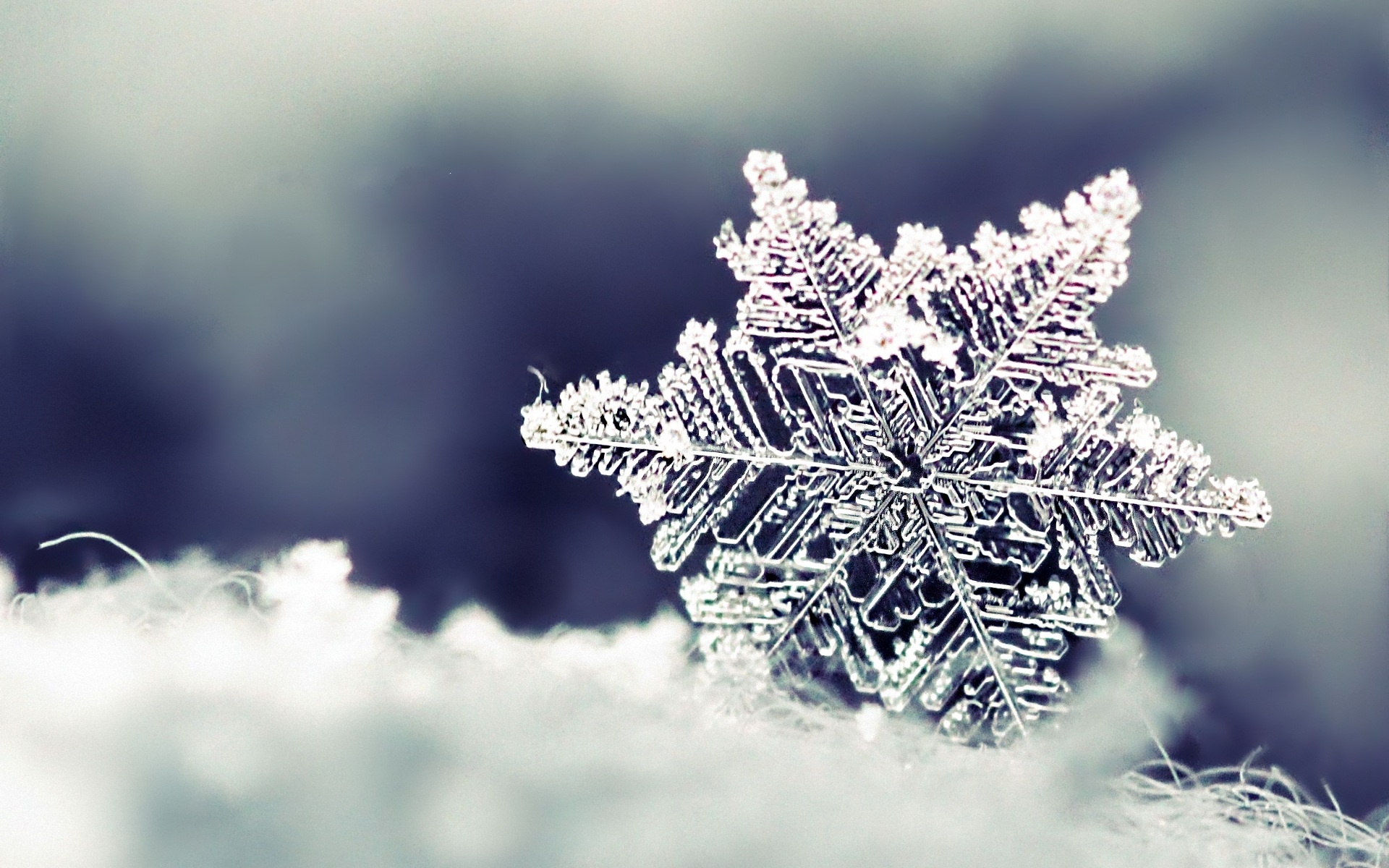 Snowflake Desktop Background