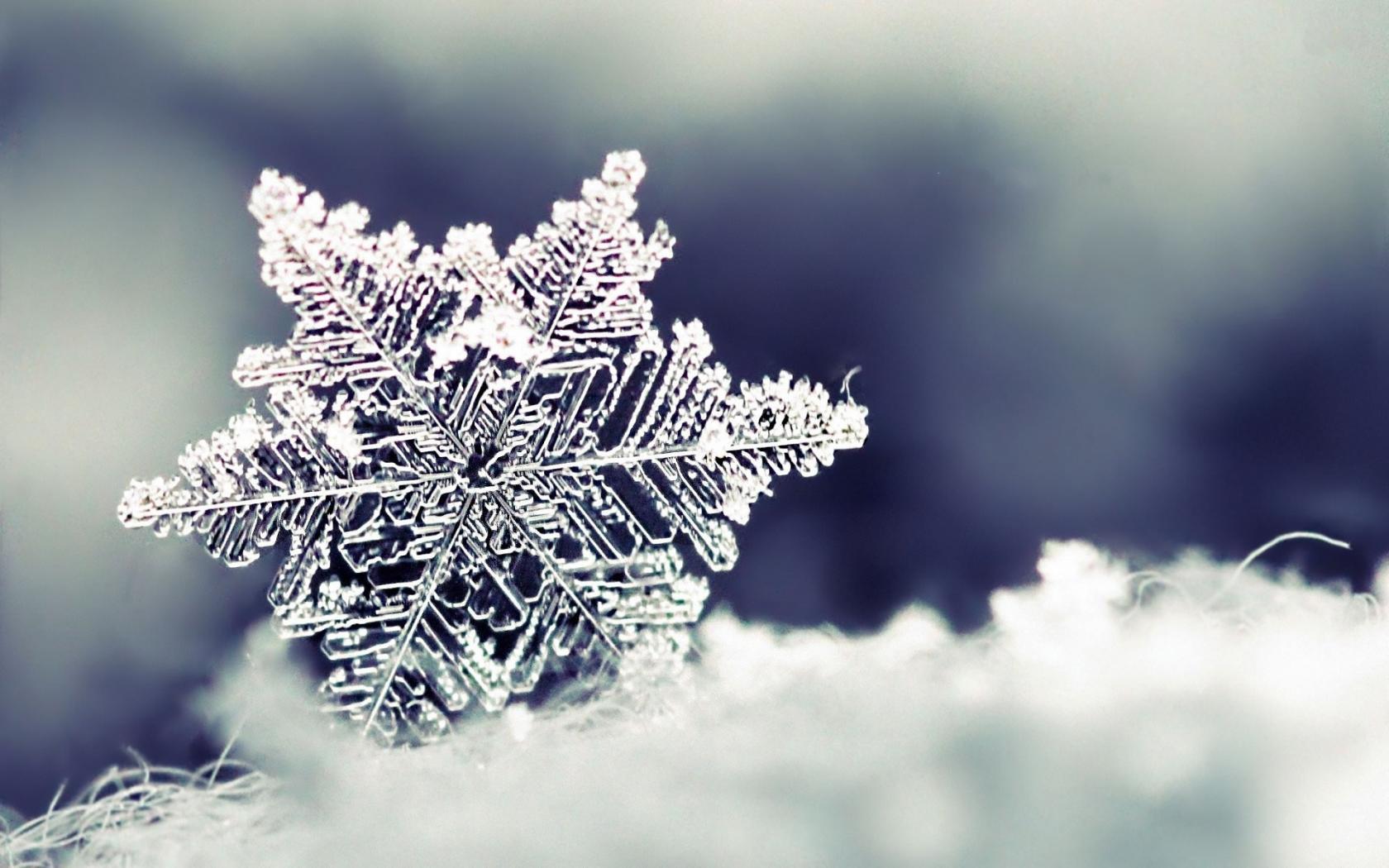 Snowflake Desktop Background