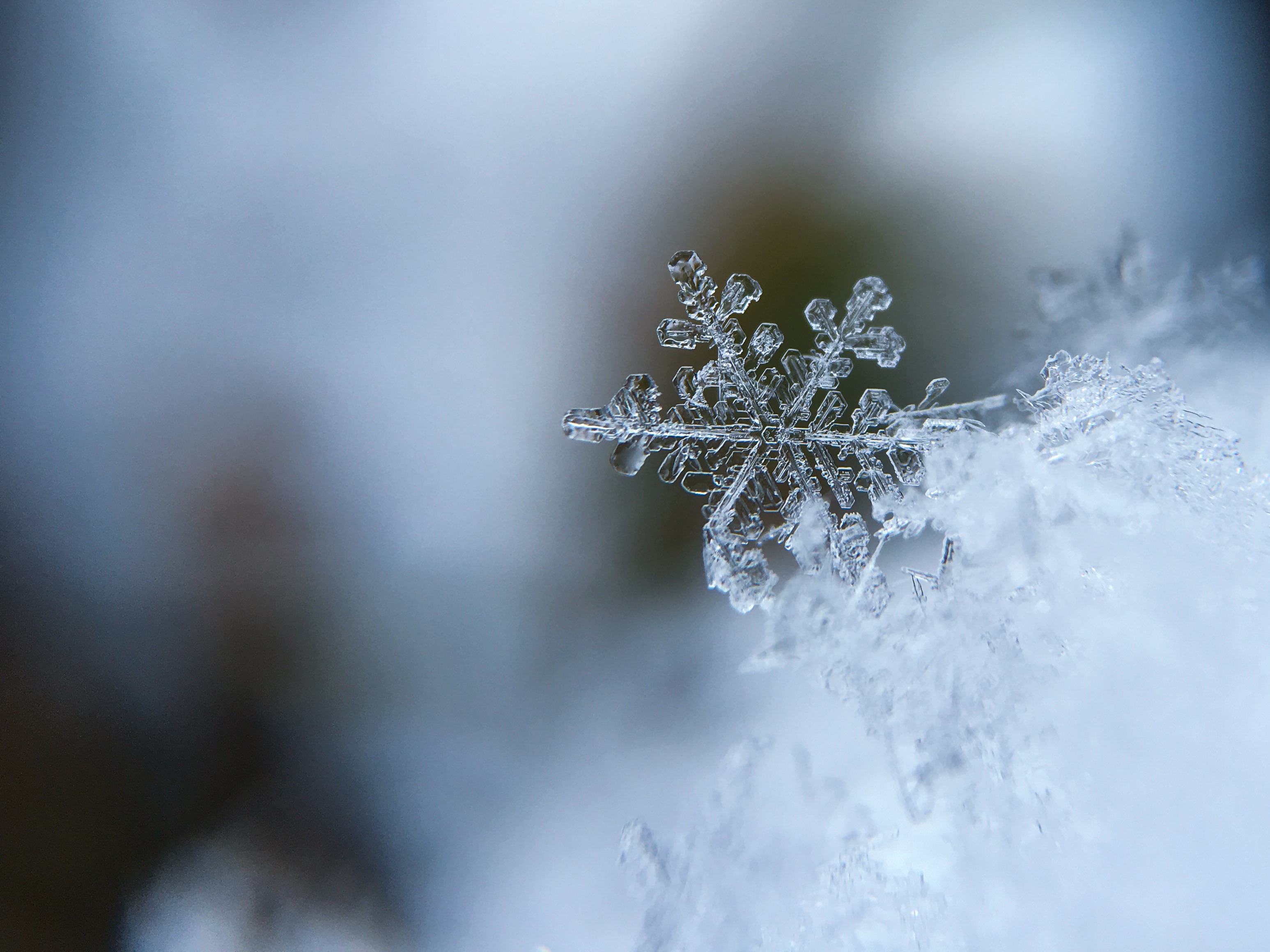 Snowflake Wallpapers