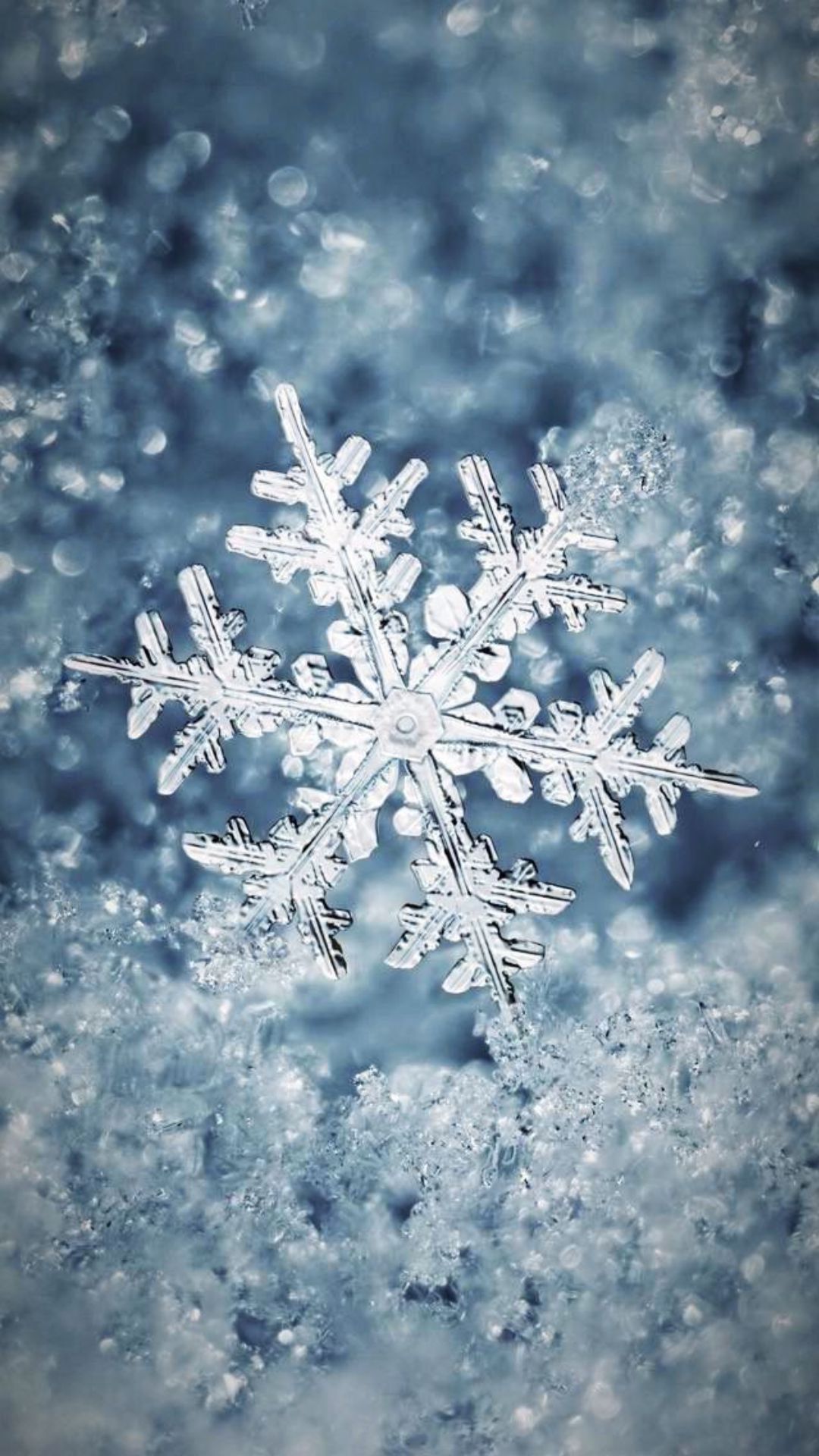 Snowflake Wallpapers