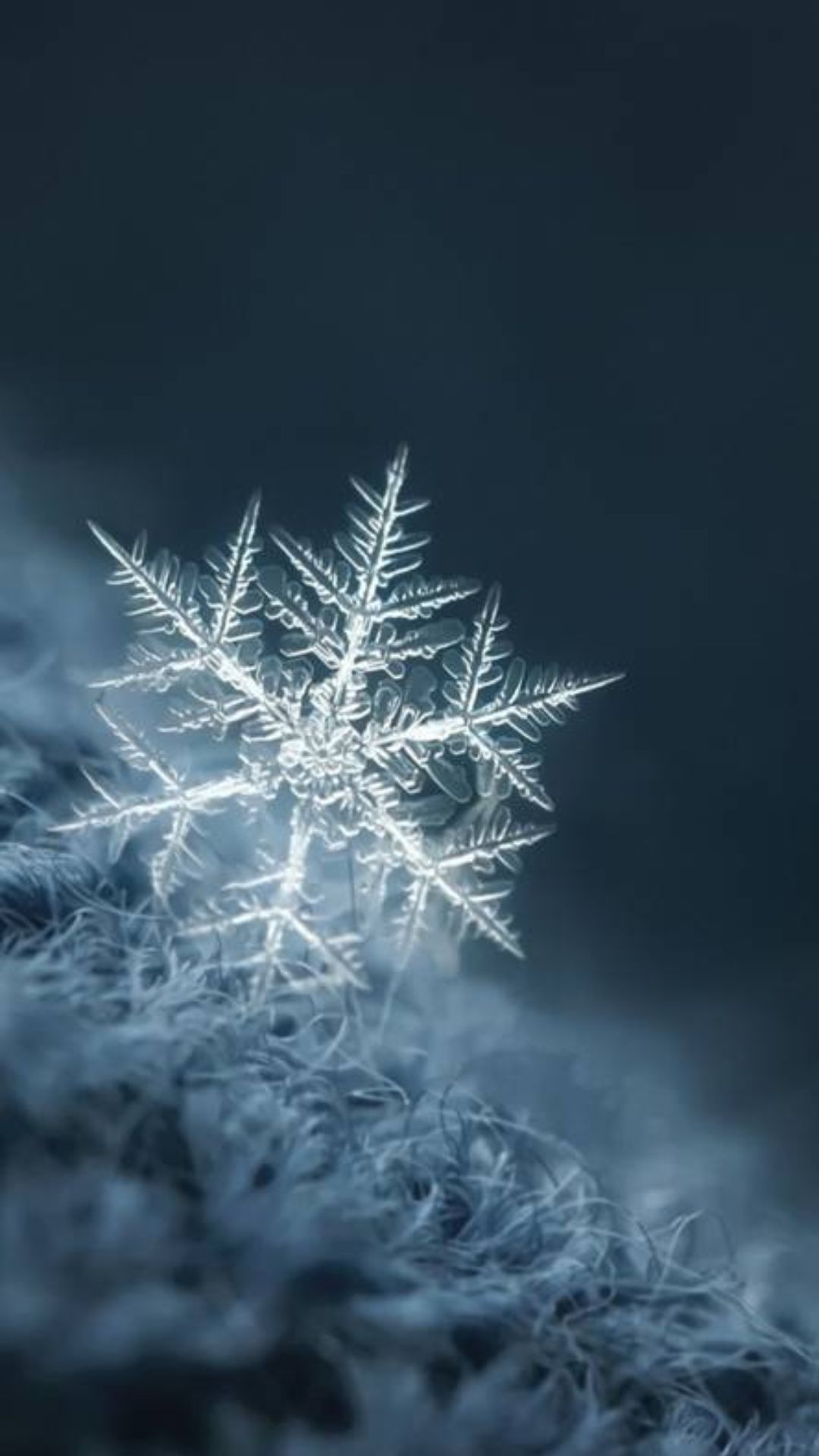 Snowflake Wallpapers