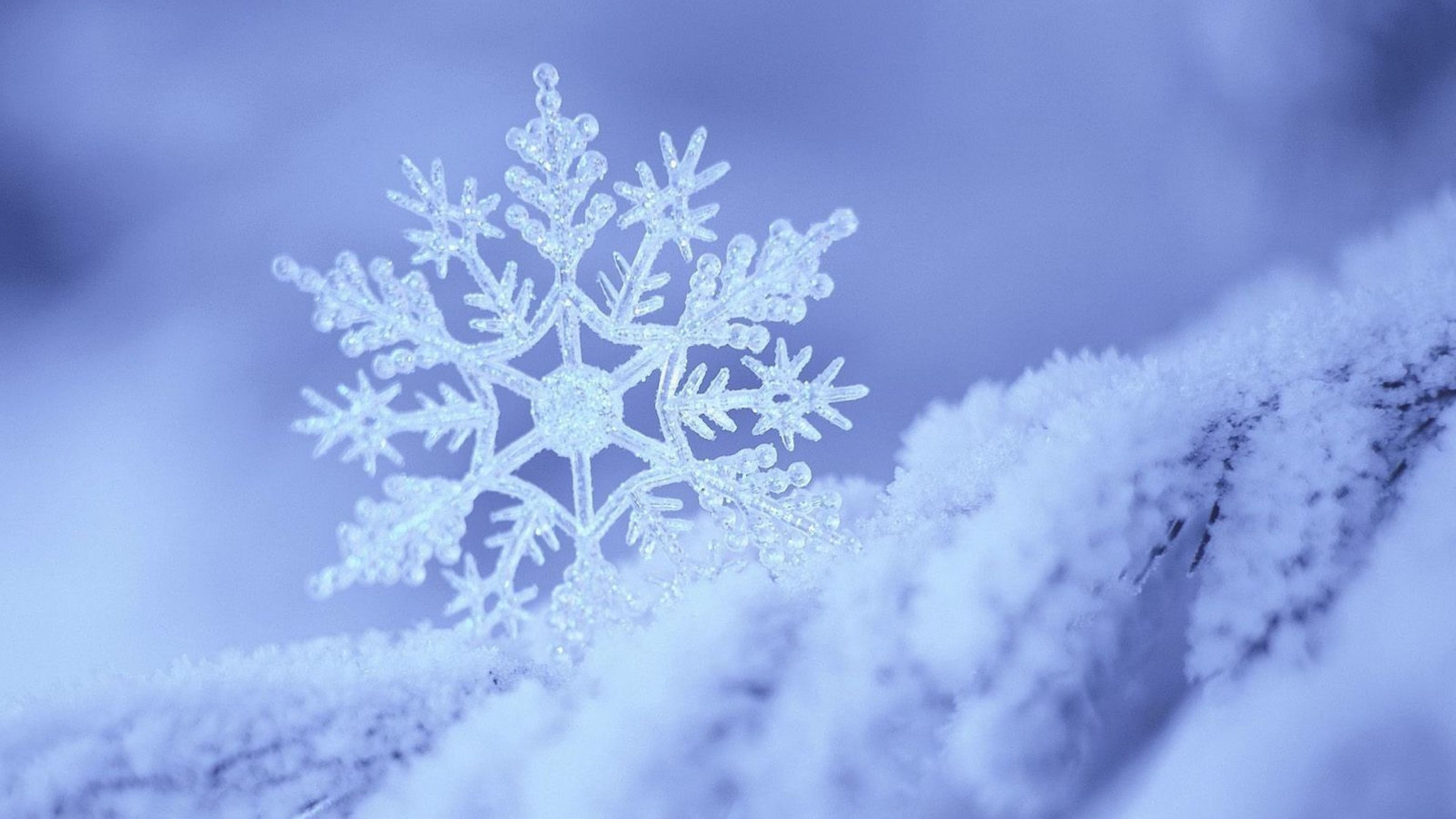 Snowflake Wallpapers