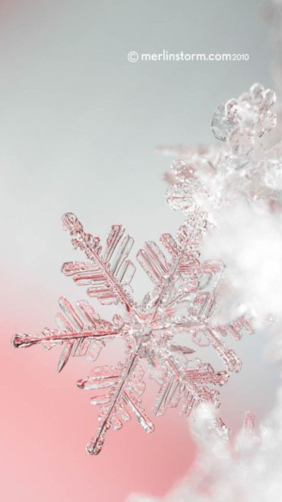 Snowflake Wallpapers