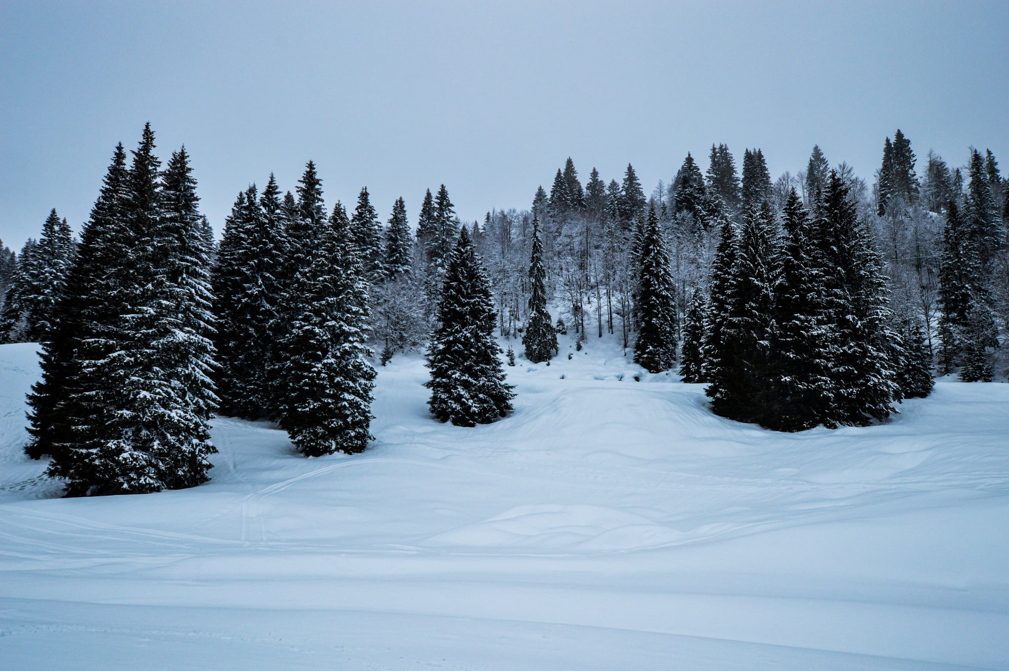 Snowy Background