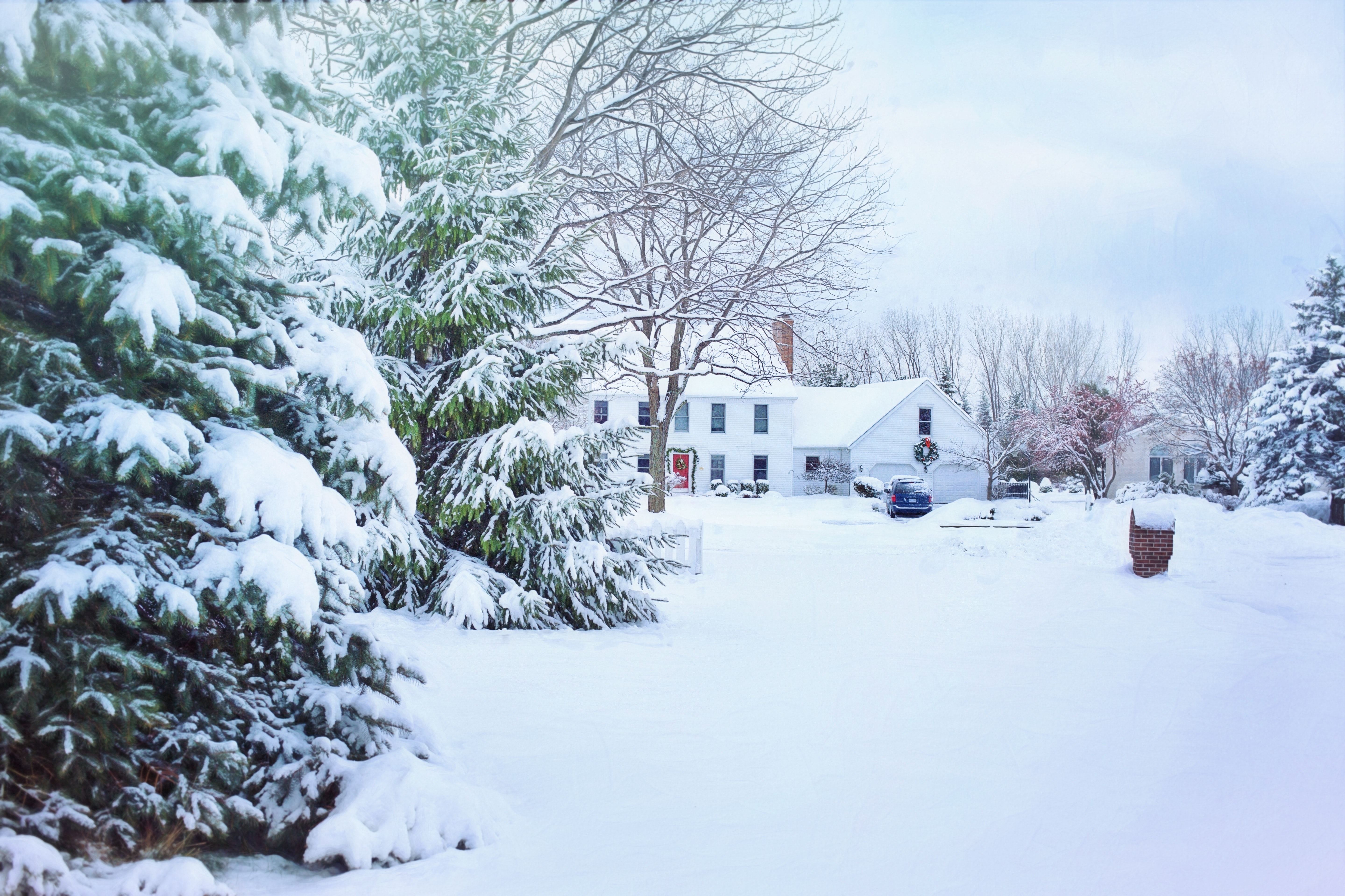 Snowy Christmas Backgrounds