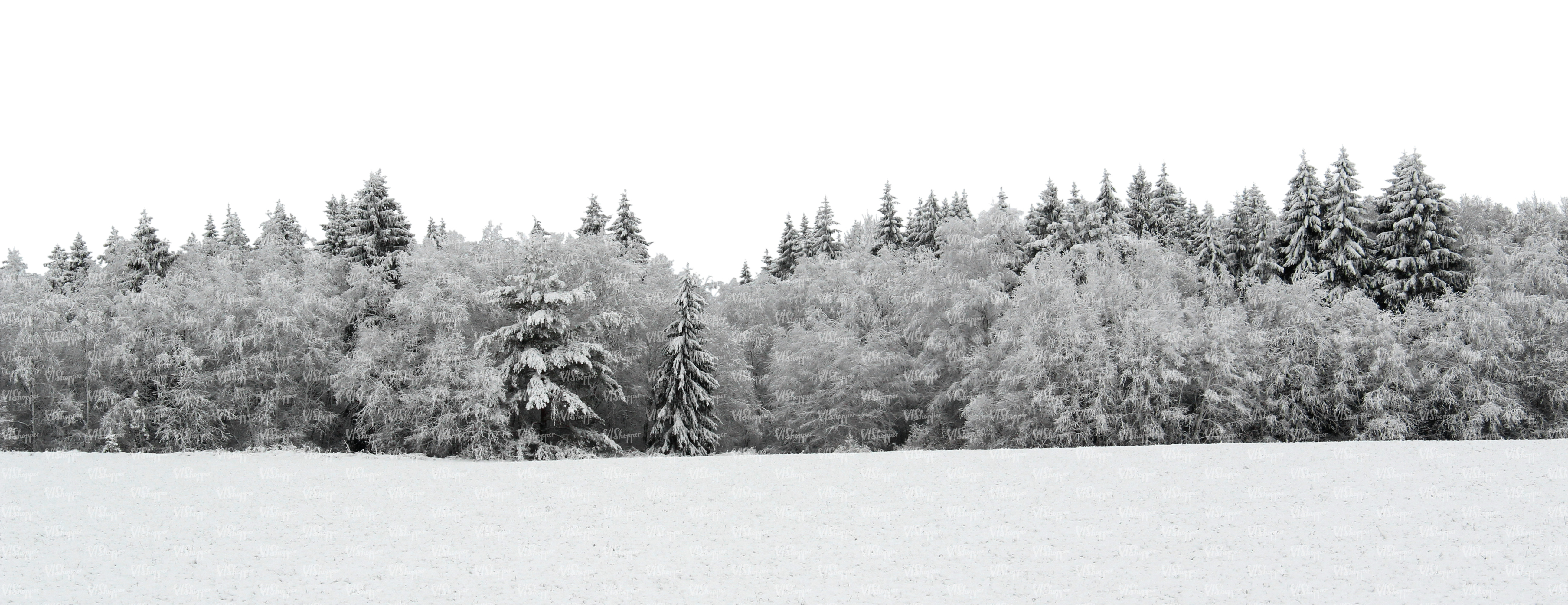 Snowy Forest Background